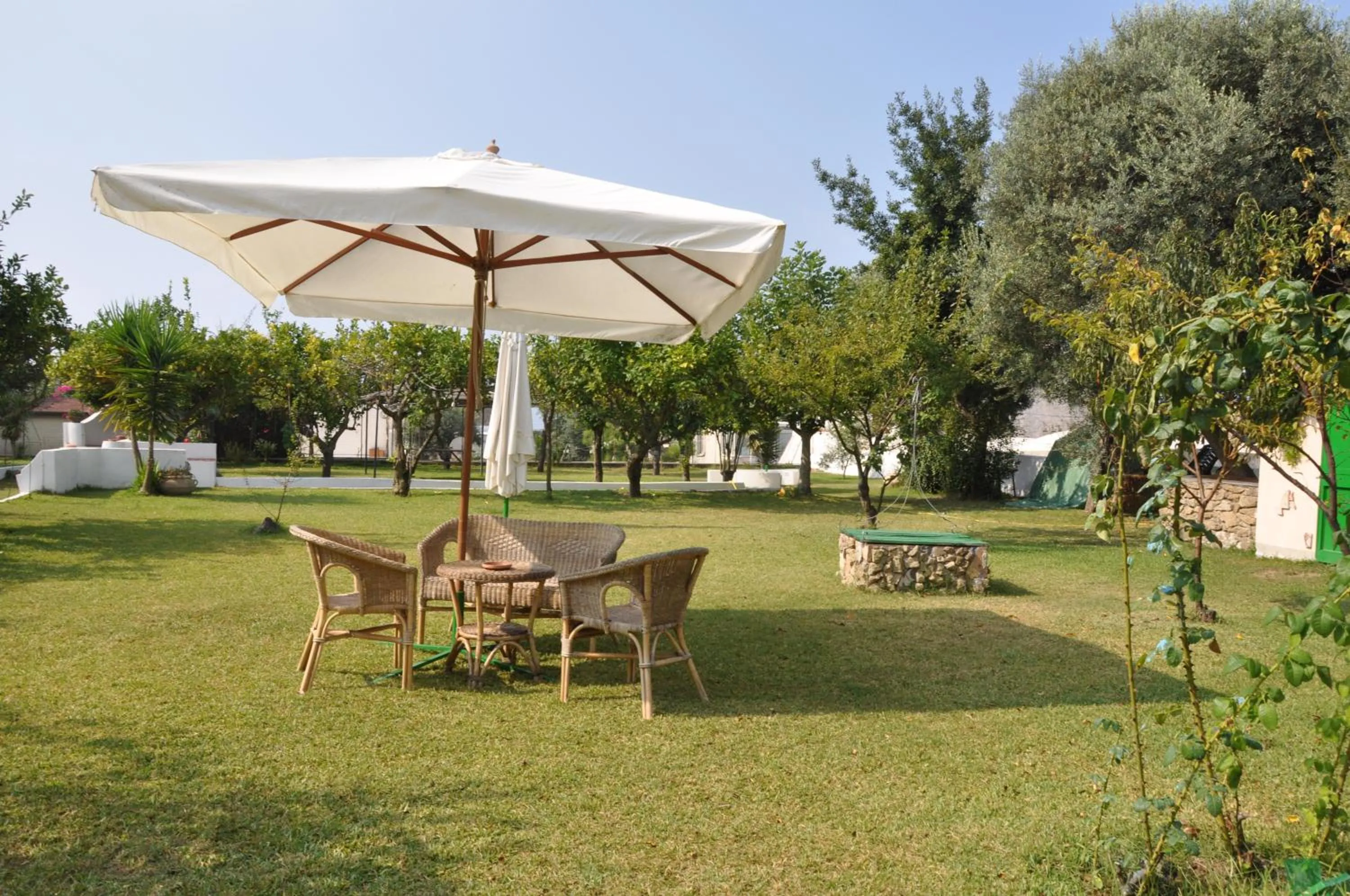 Garden in Hotel Savoia