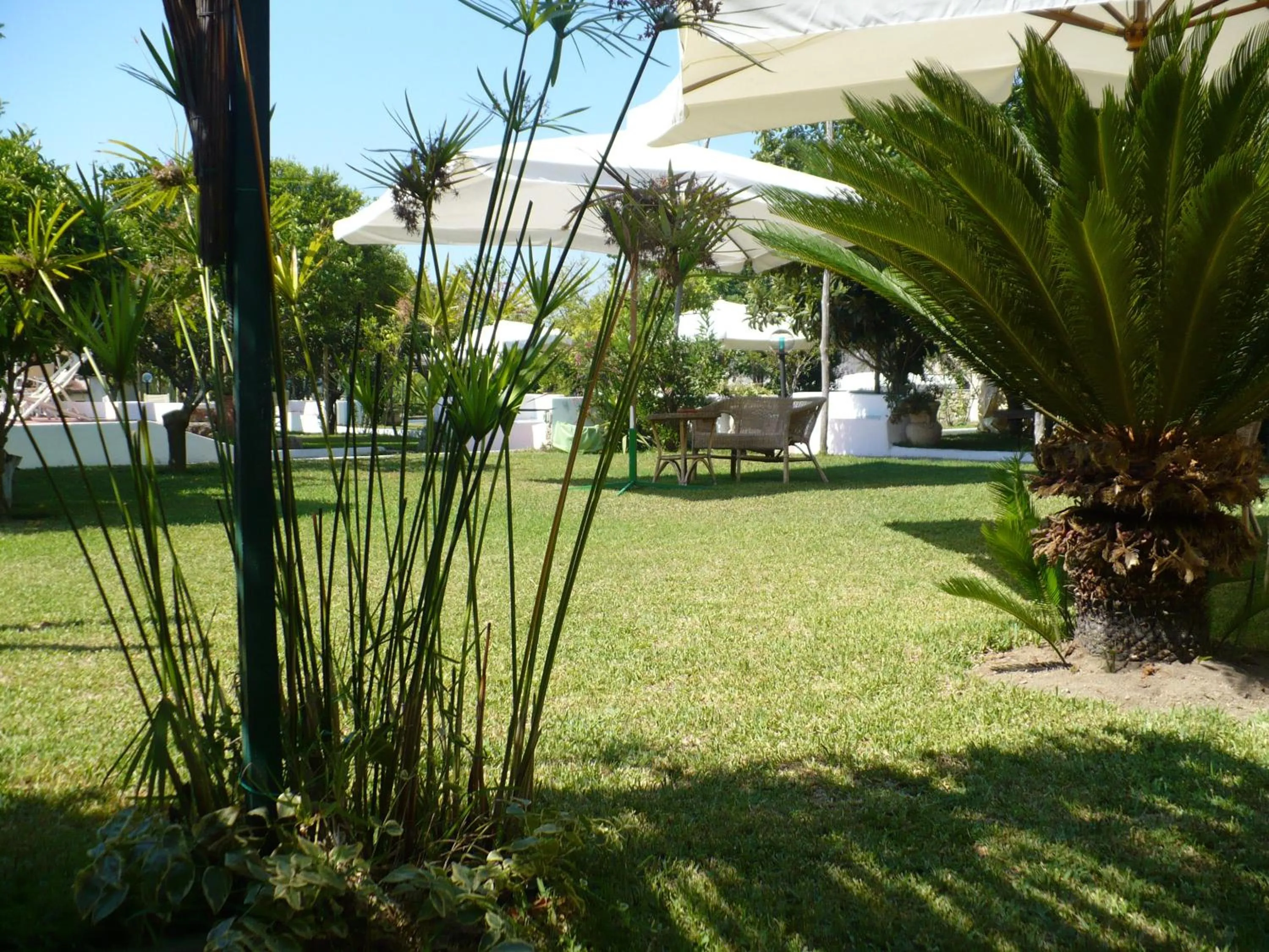 Garden in Hotel Savoia