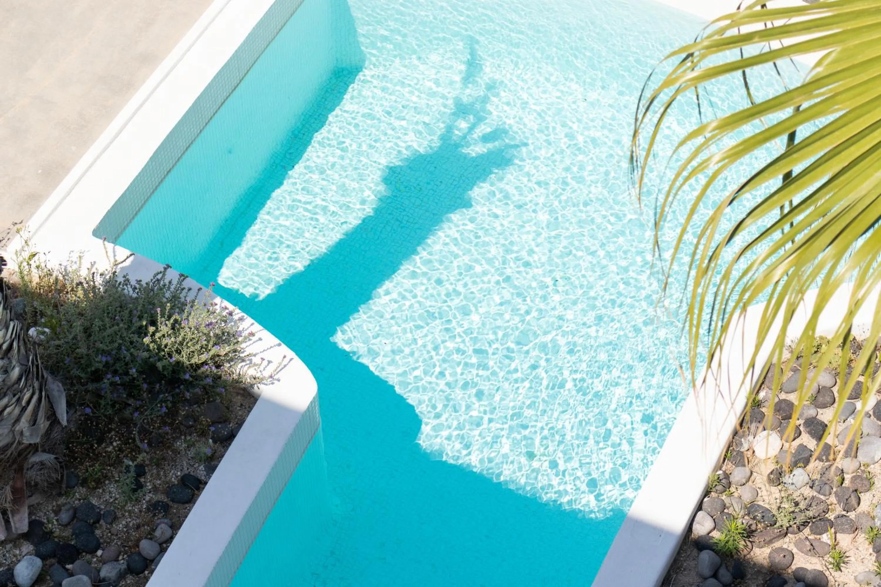 Swimming pool in Casa Vitae Suites