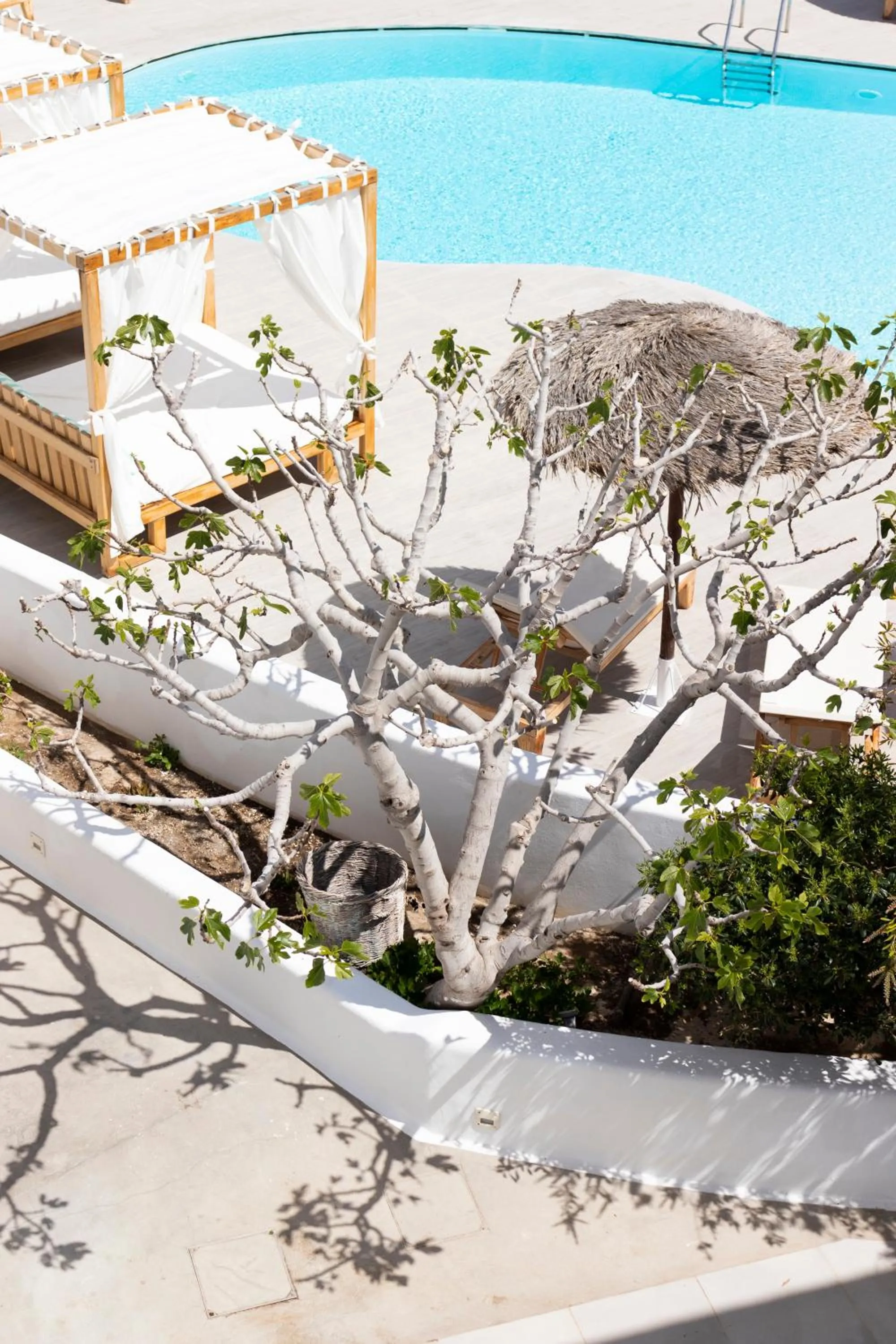 Swimming pool in Casa Vitae Suites