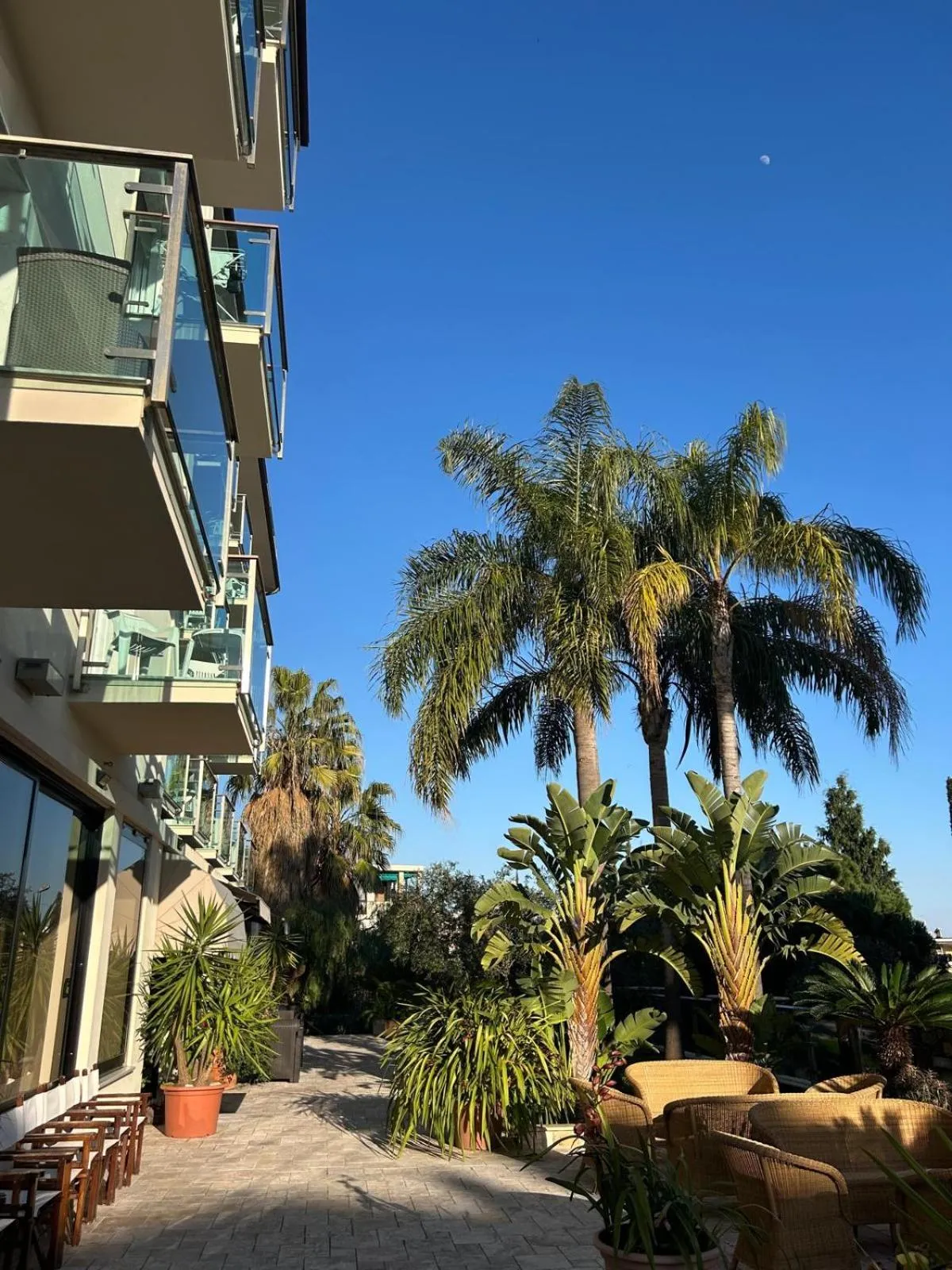 Garden in Hotel Ariston & Apartments