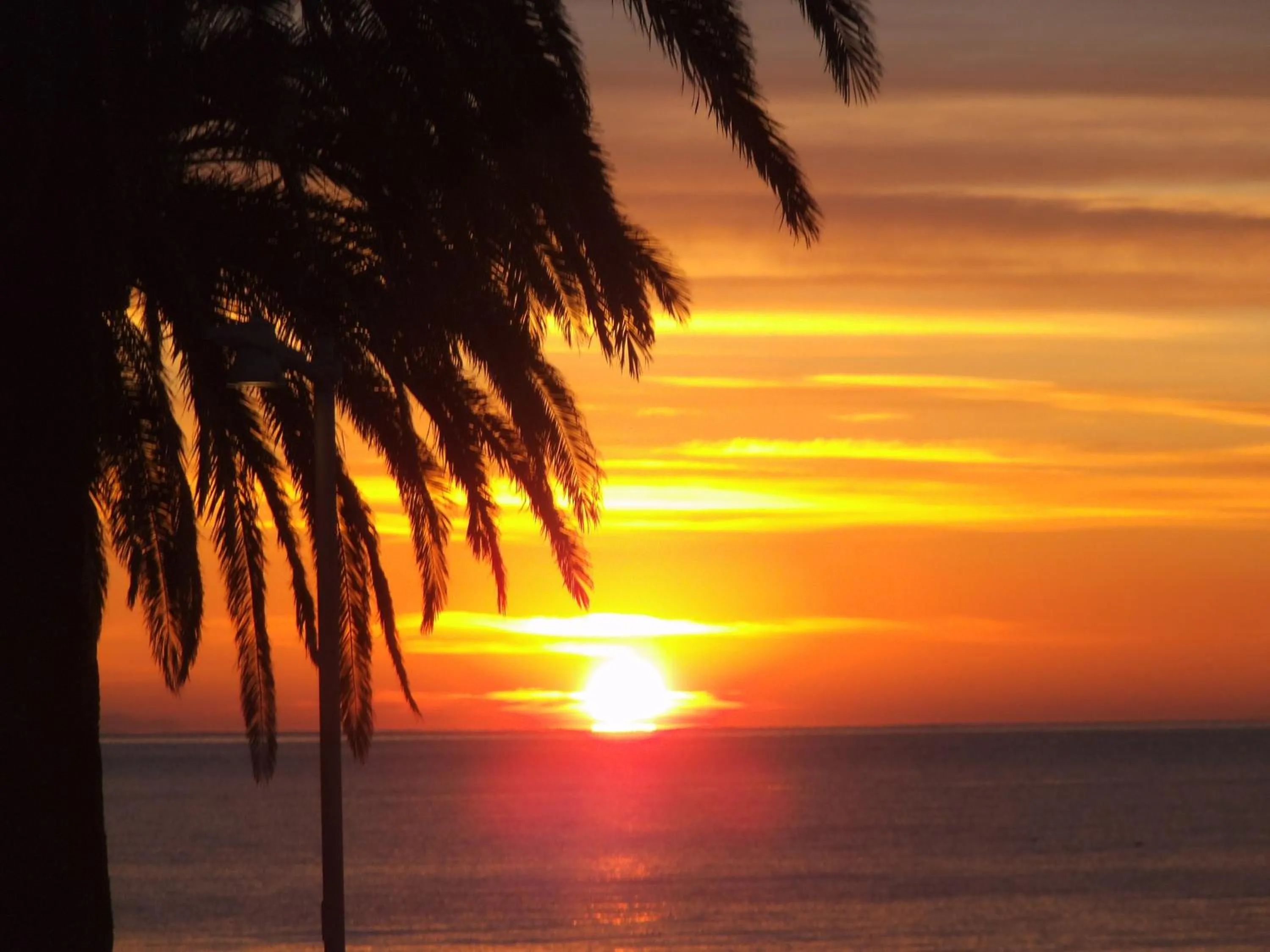 Garden in Hotel Ariston & Apartments