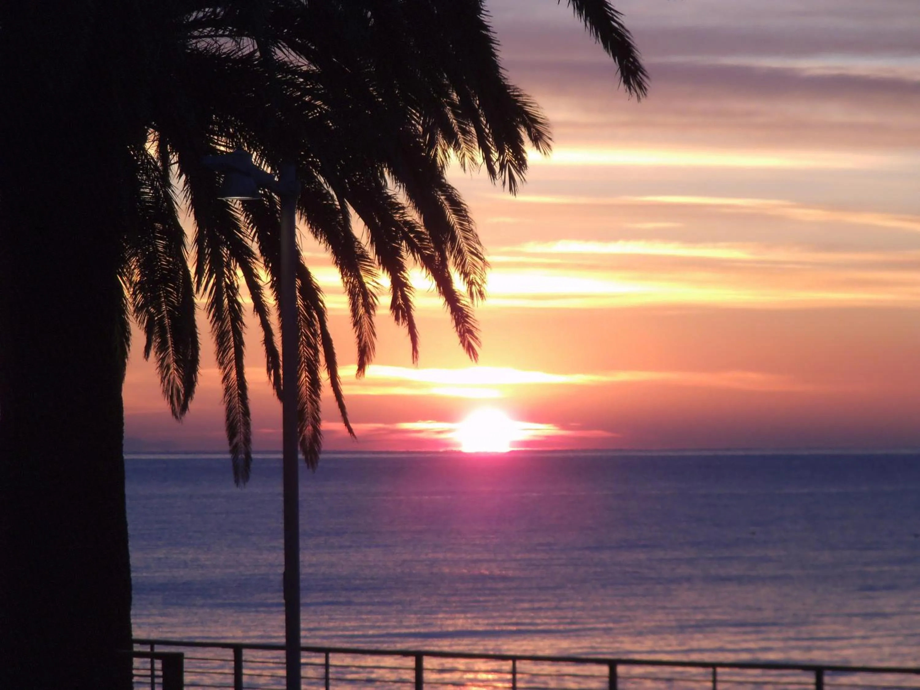 Garden in Hotel Ariston & Apartments