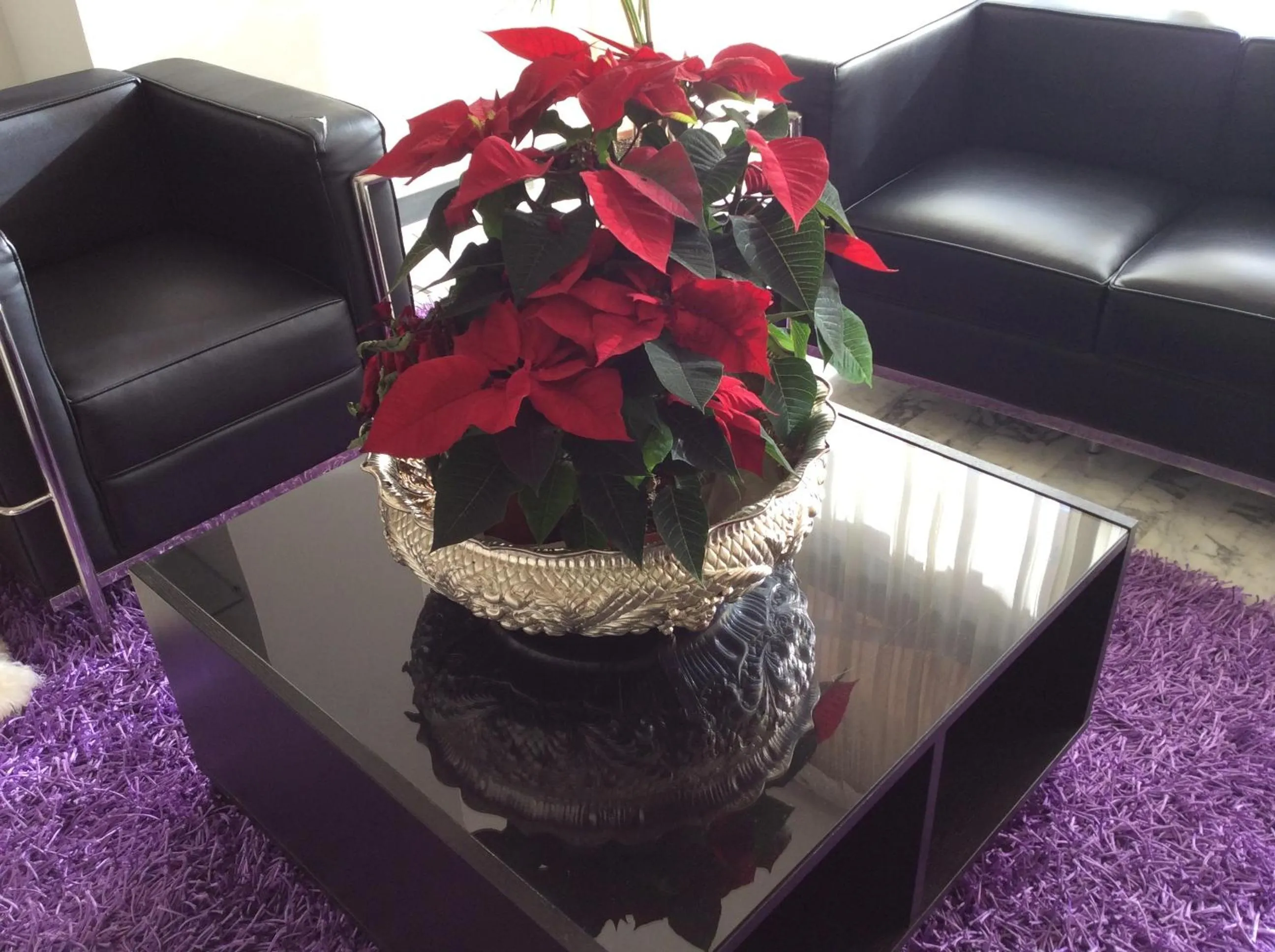 Decorative detail in Hotel Ariston & Apartments