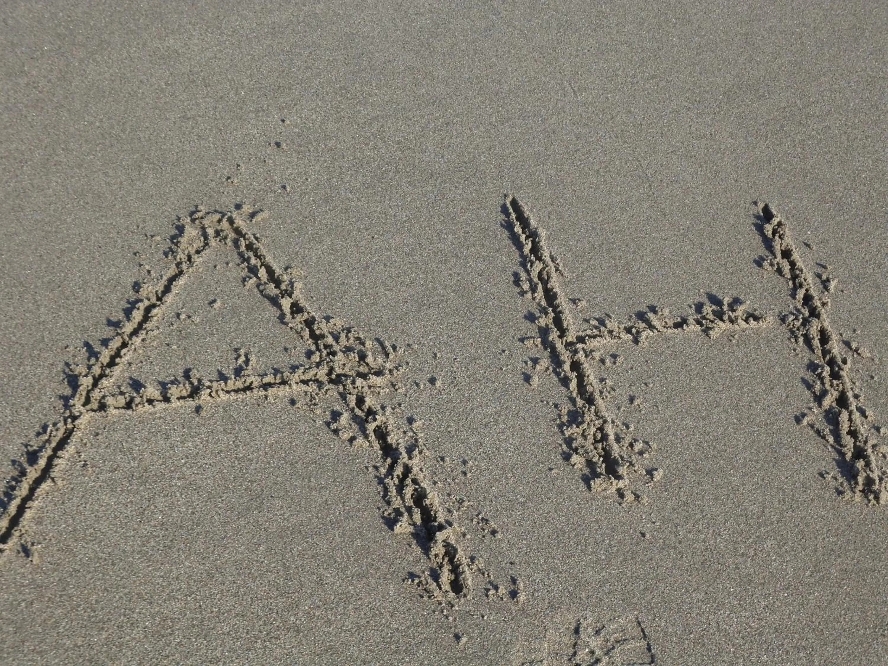 Other in Hotel Ariston & Apartments