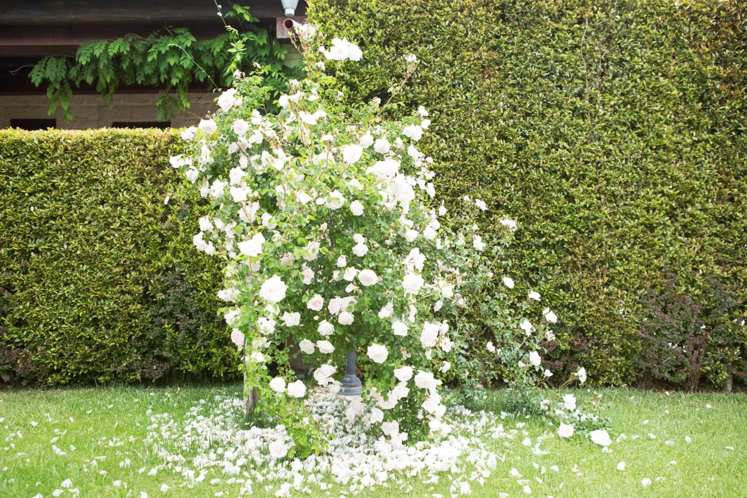 Garden in Agriturismo Il Granaio Hotel & SPA