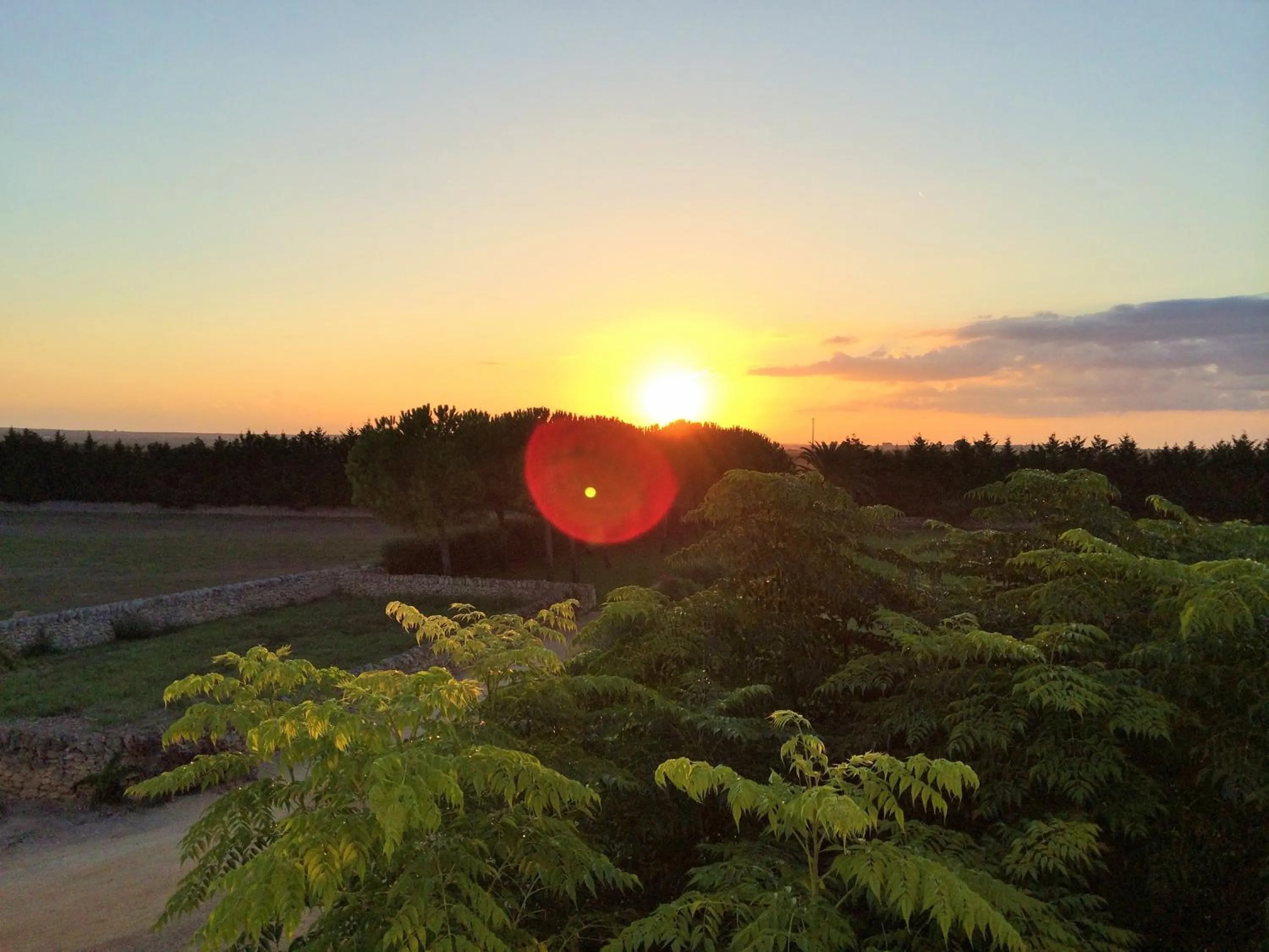 Natural landscape in Masseria Bagnara Resort & Spa