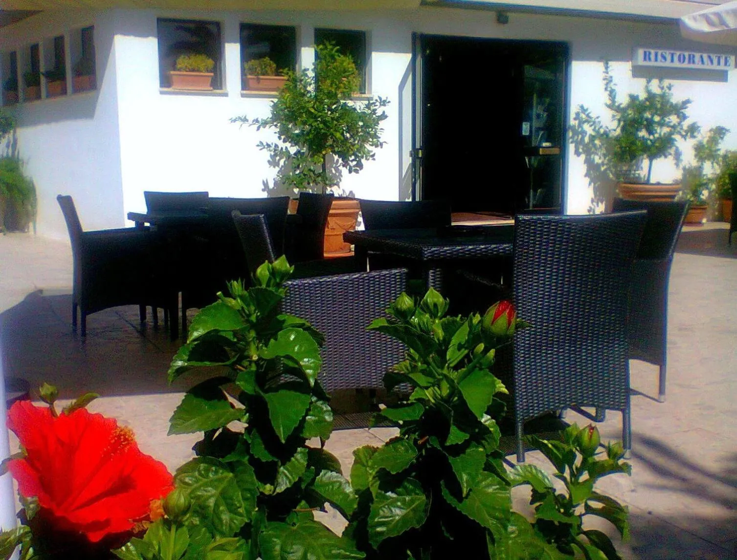 Patio in Hotel Turismo