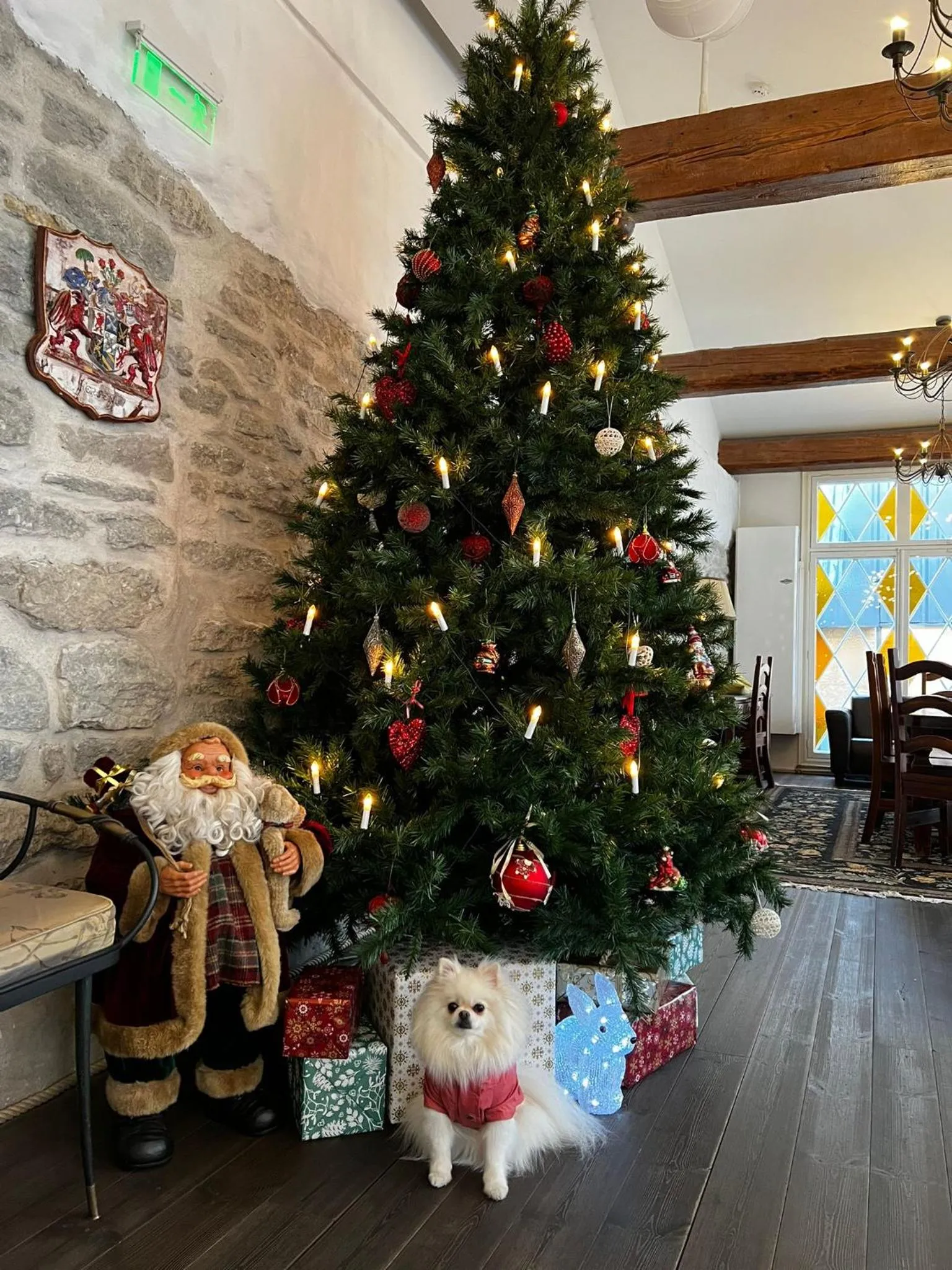 Communal lounge/ TV room in Taanilinna Hotell