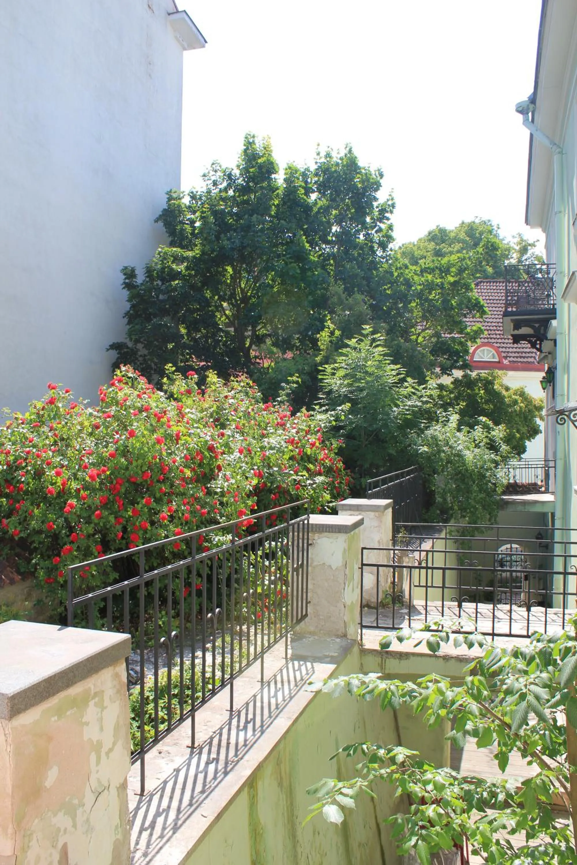 View (from property/room) in Taanilinna Hotell