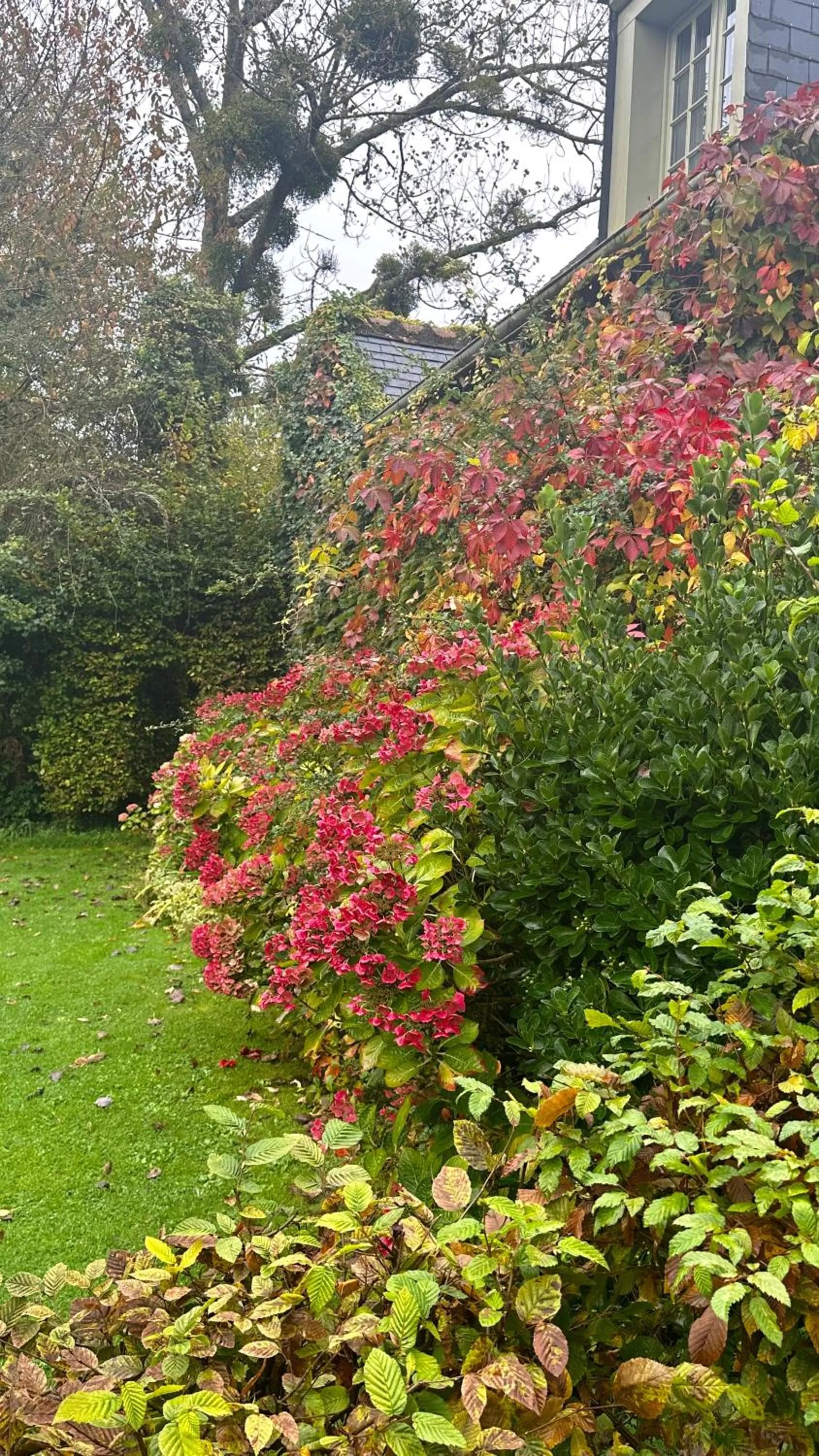 Le Manoir de Maucartier