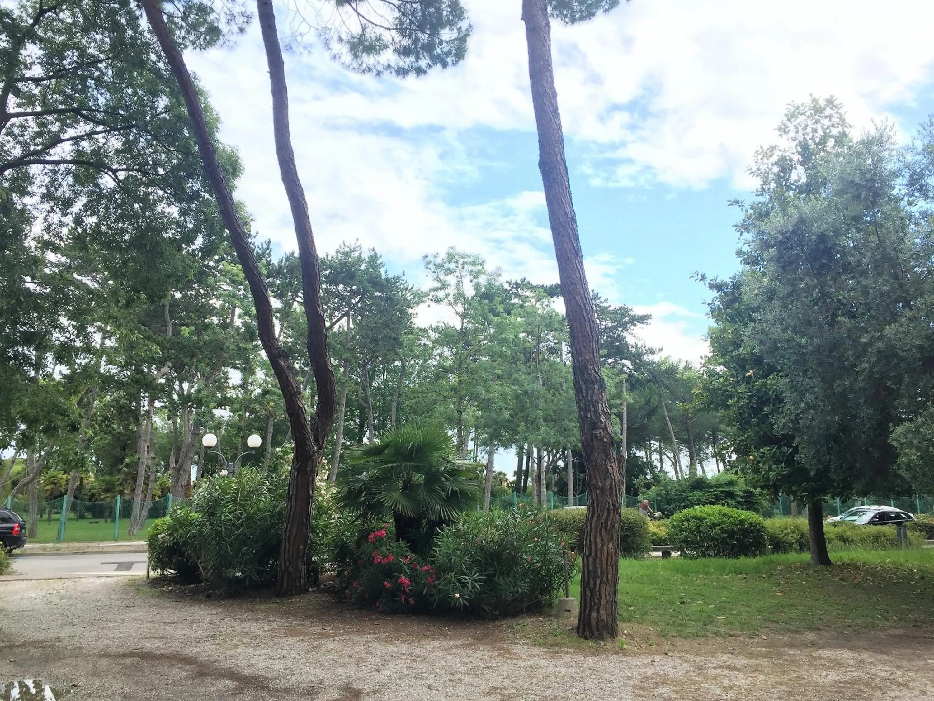 Garden in Hotel Moreri