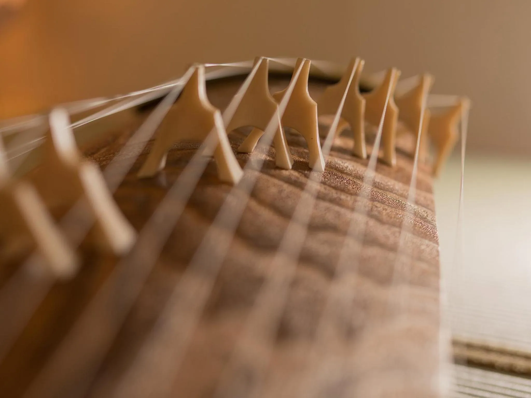 Decorative detail in Shirasagi Kyoto