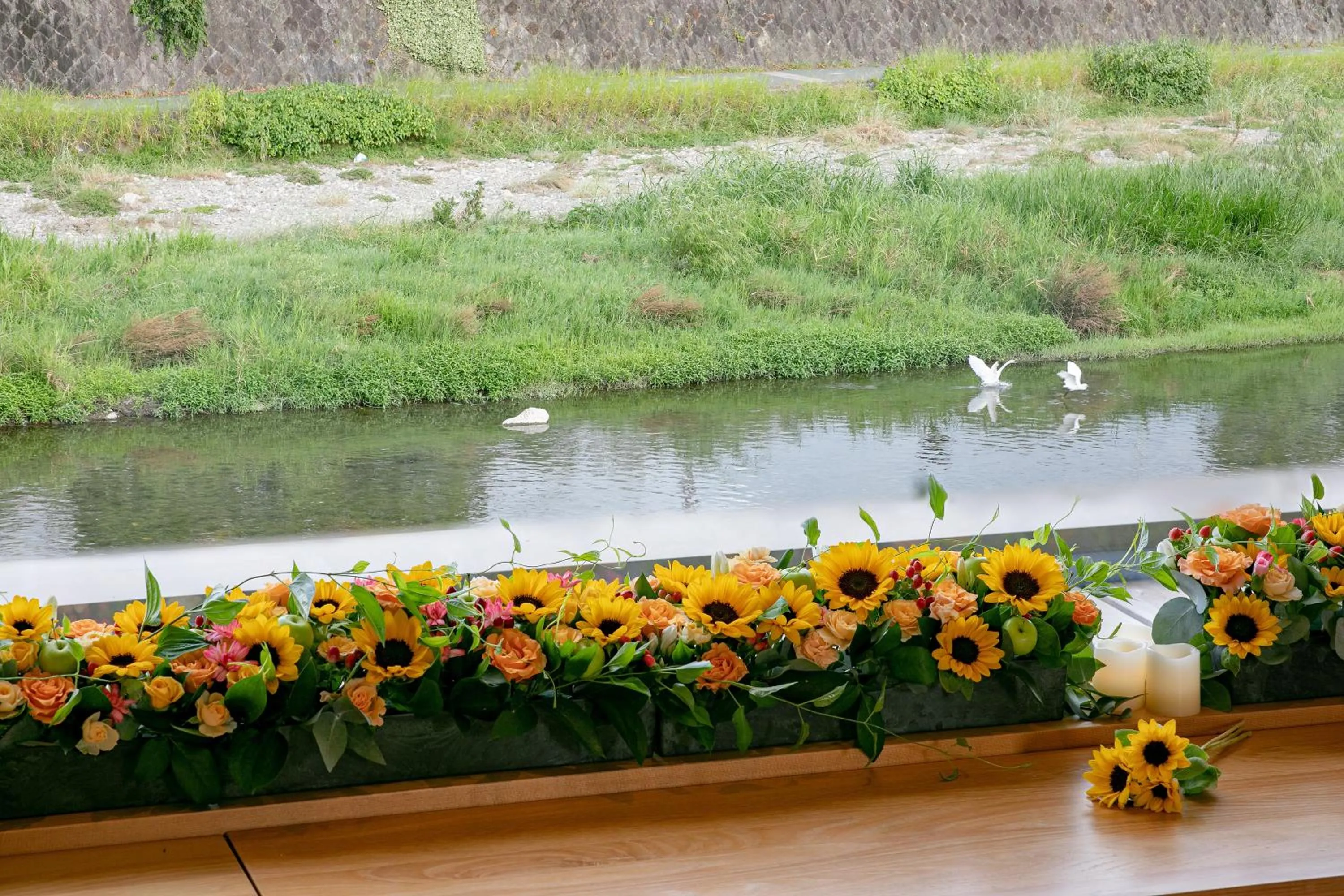 View (from property/room) in Shirasagi Kyoto