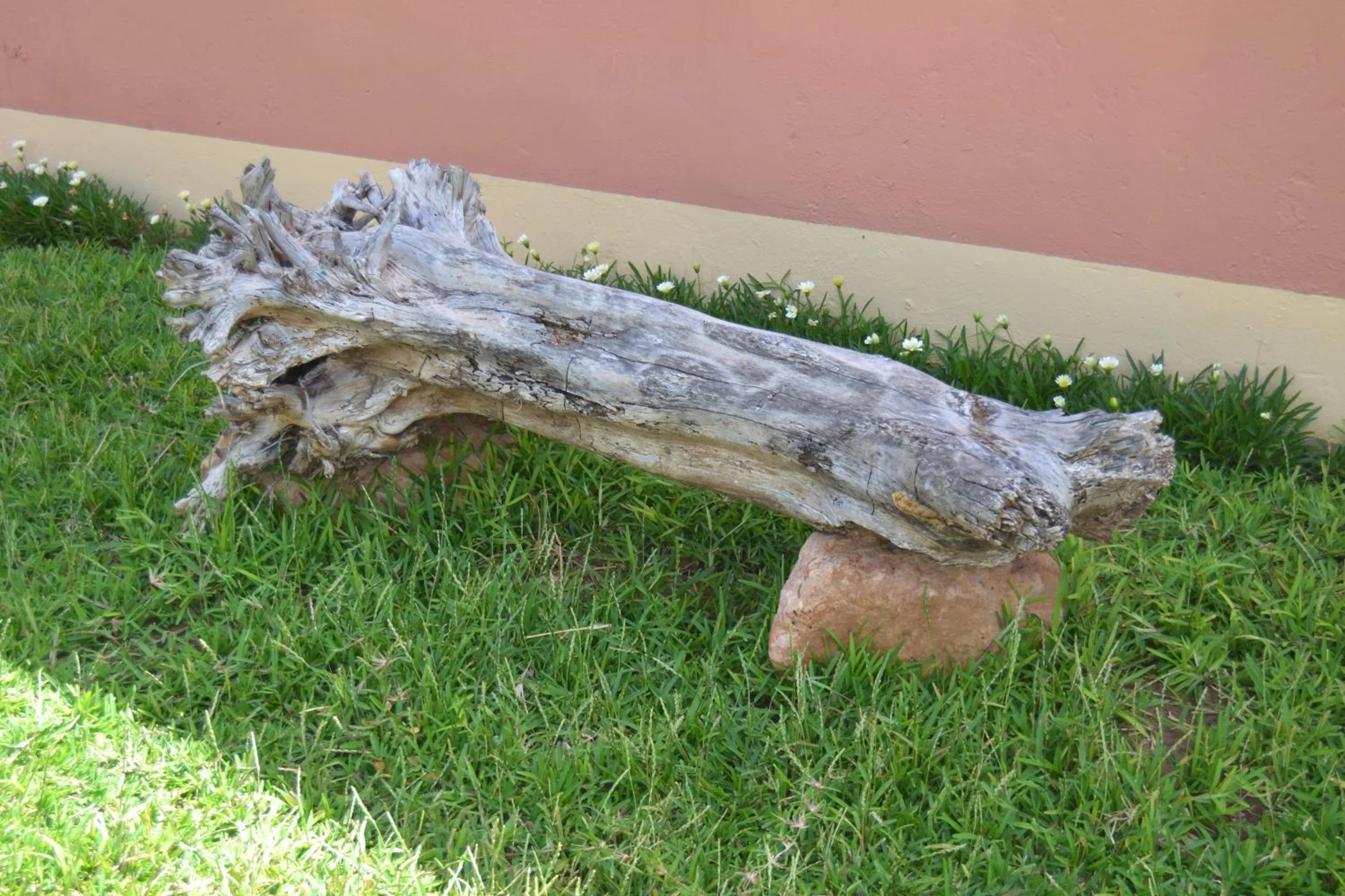 Natural landscape in Seelo Guest Accommodation