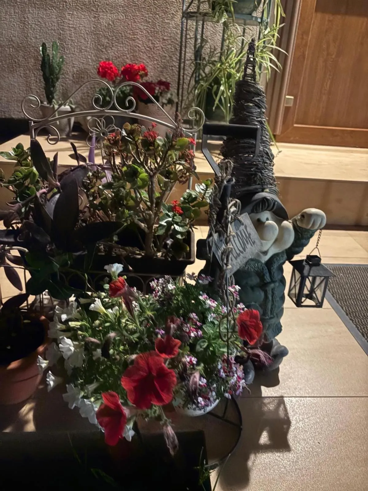 Garden view in Casa Irlandeza - Irish House