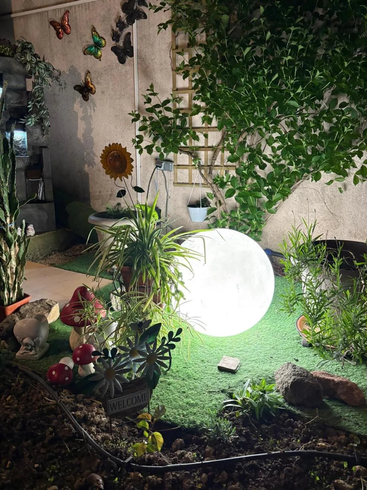 Garden view in Casa Irlandeza - Irish House