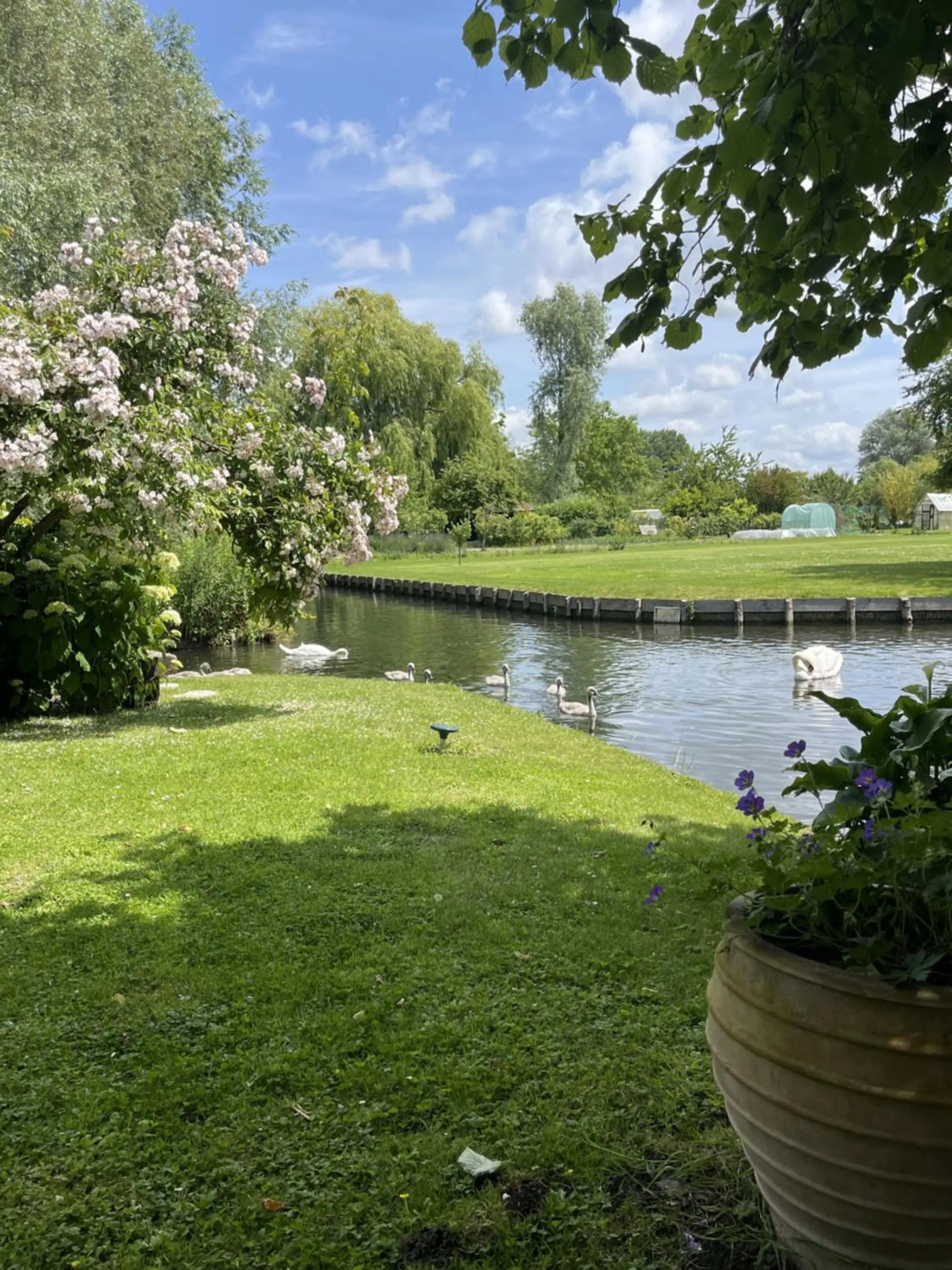 Garden in Comme une parenthèse au coeur des hortillonnages