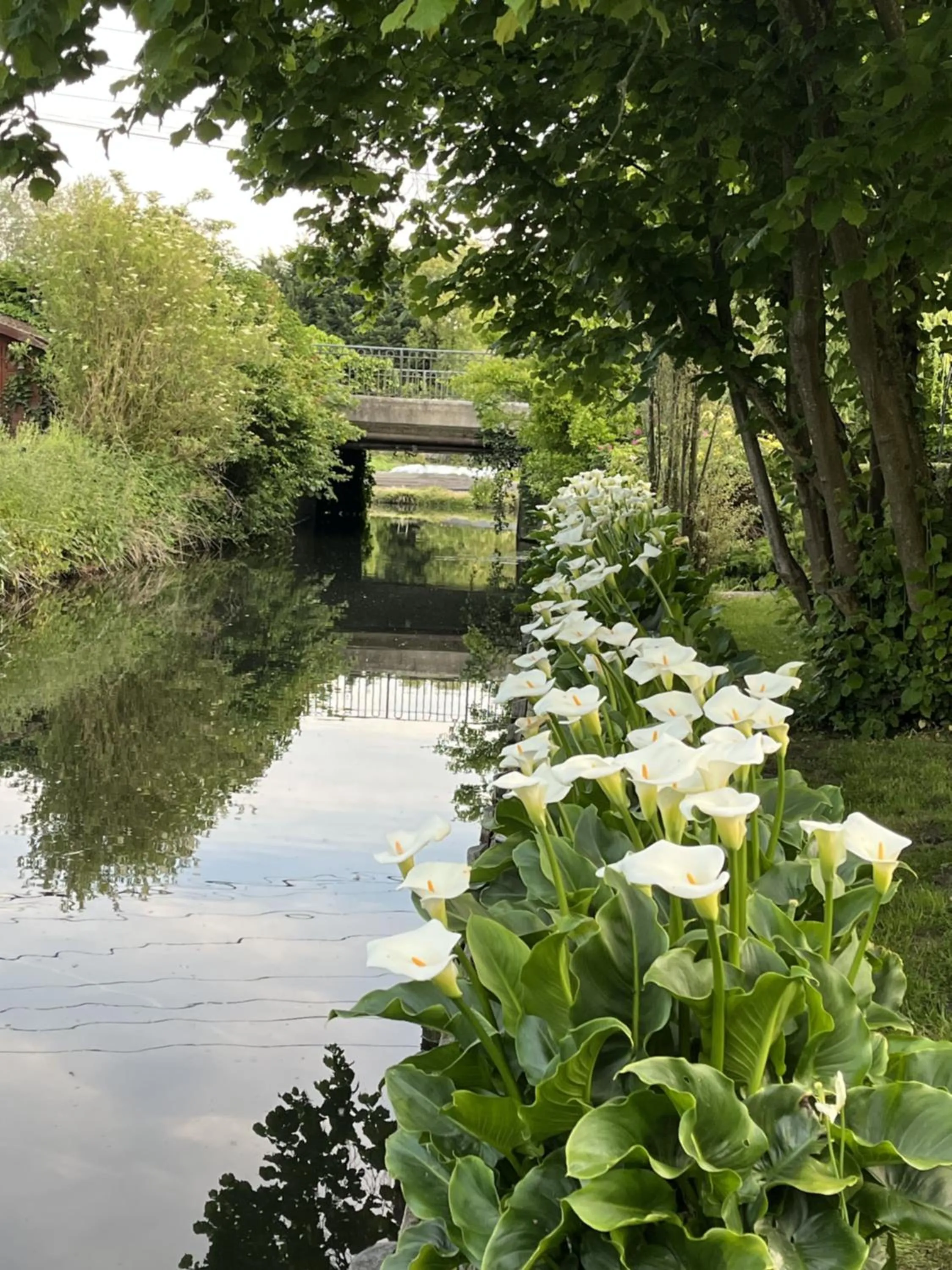 Garden in Comme une parenthèse au coeur des hortillonnages