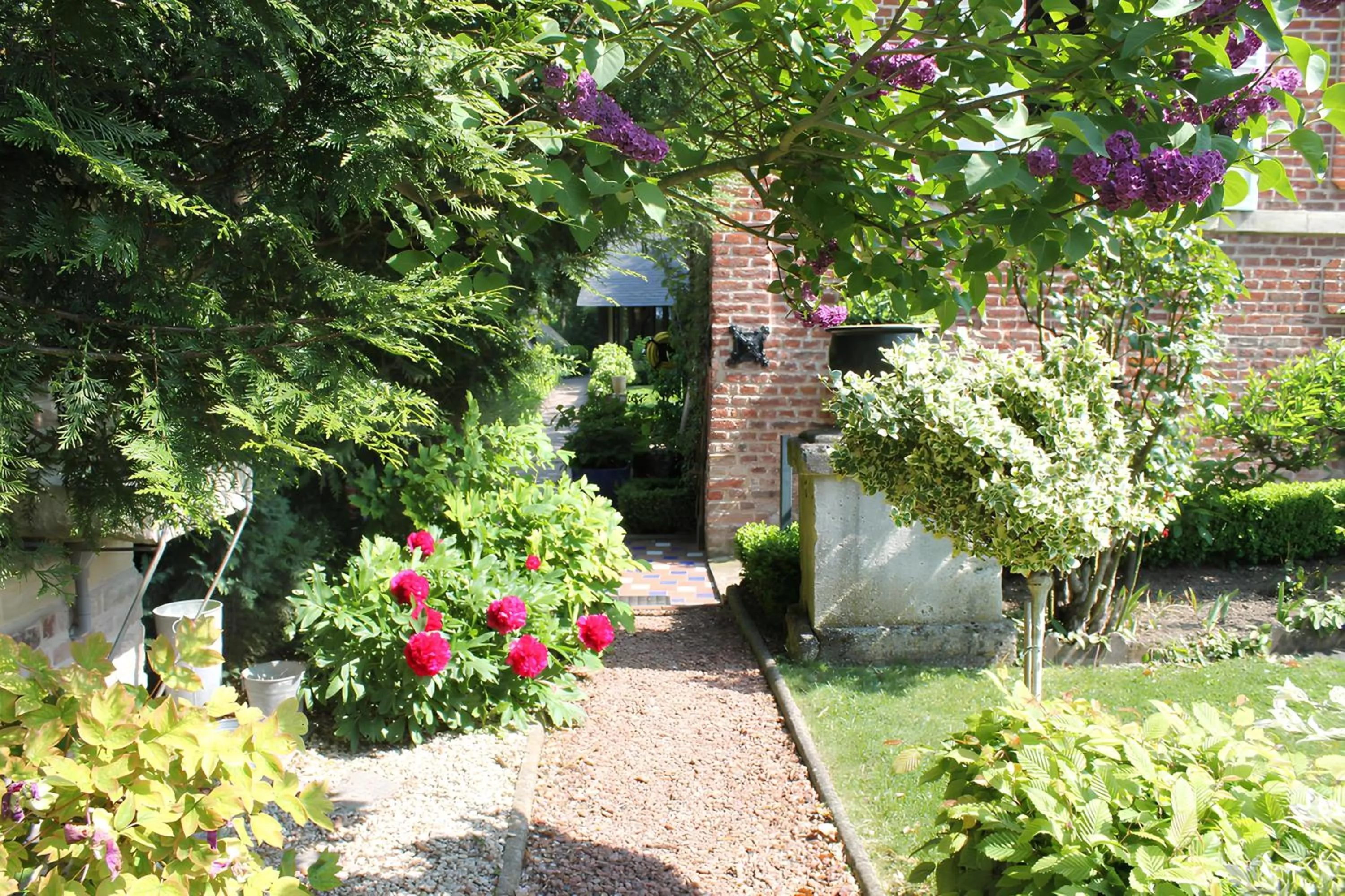 Garden in Comme une parenthèse au coeur des hortillonnages