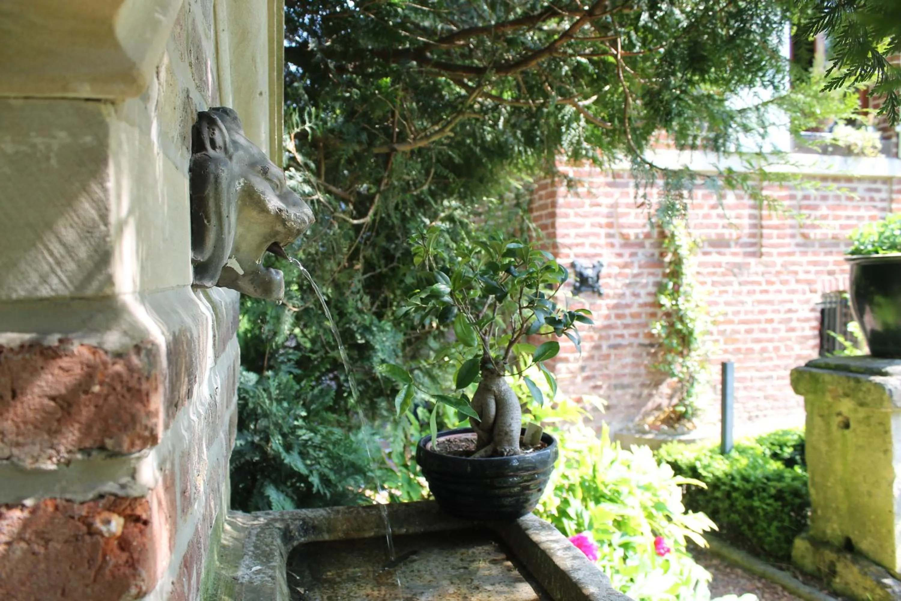 Garden in Comme une parenthèse au coeur des hortillonnages