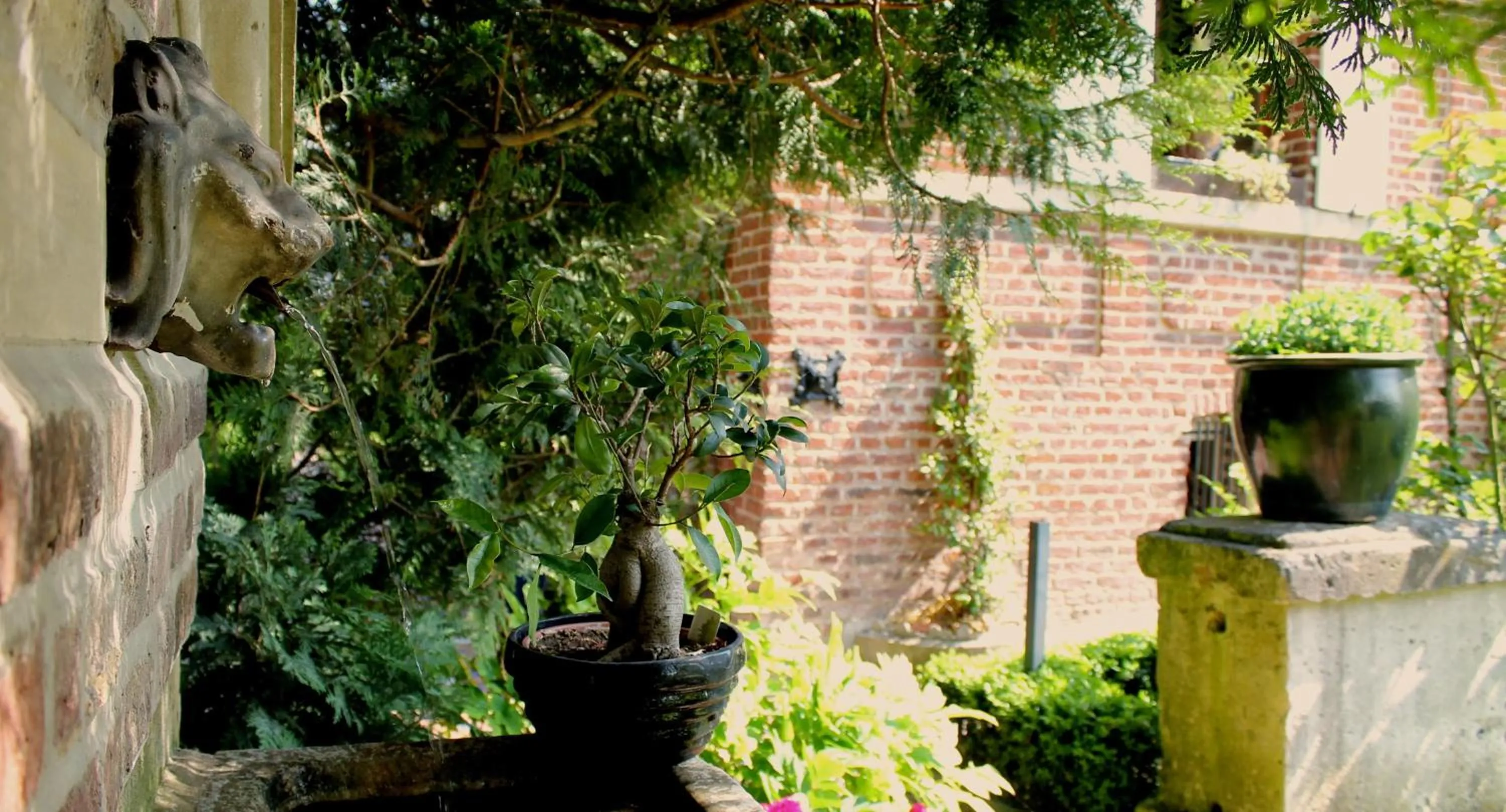 Garden in Comme une parenthèse au coeur des hortillonnages
