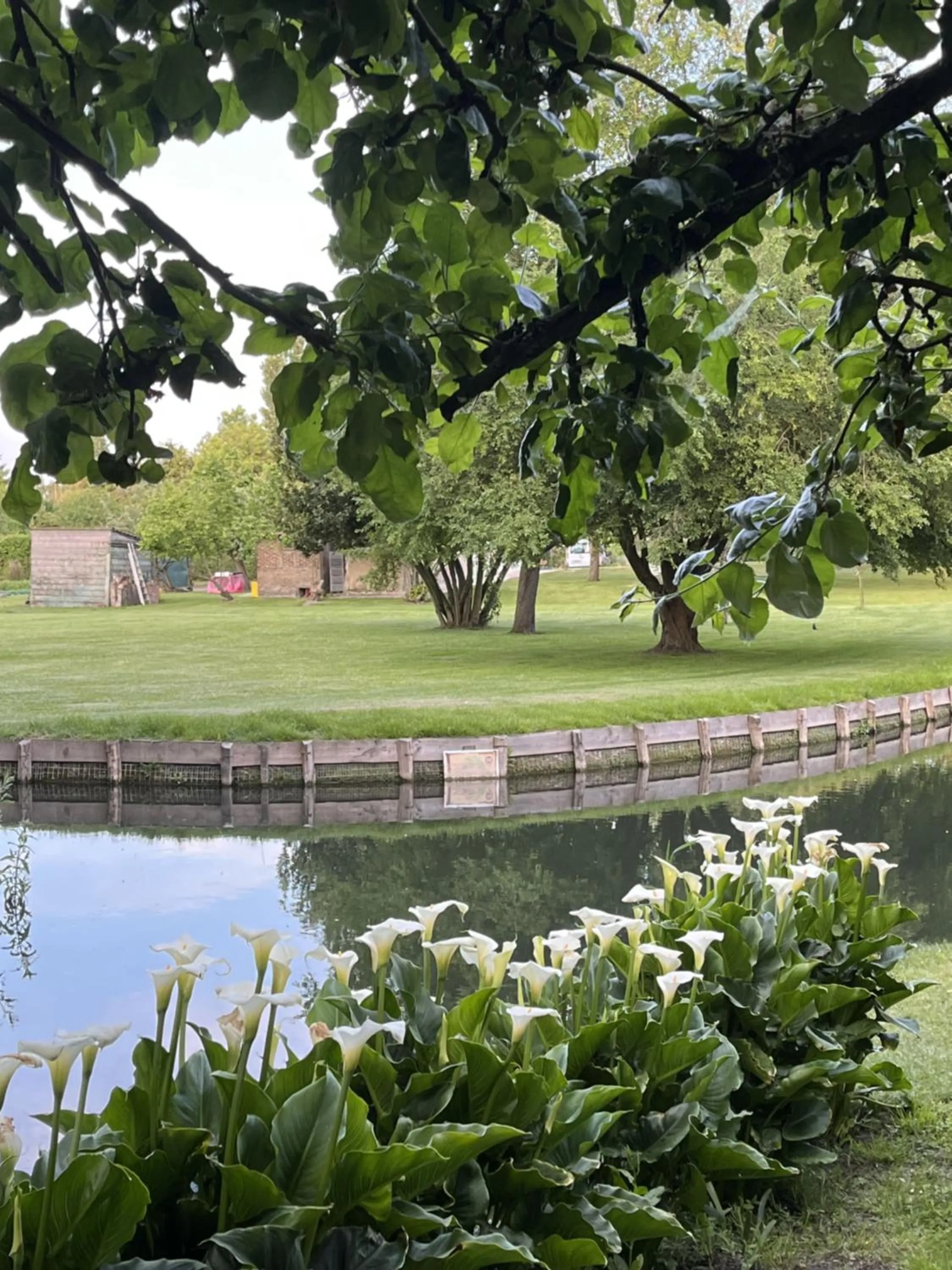 Garden in Comme une parenthèse au coeur des hortillonnages