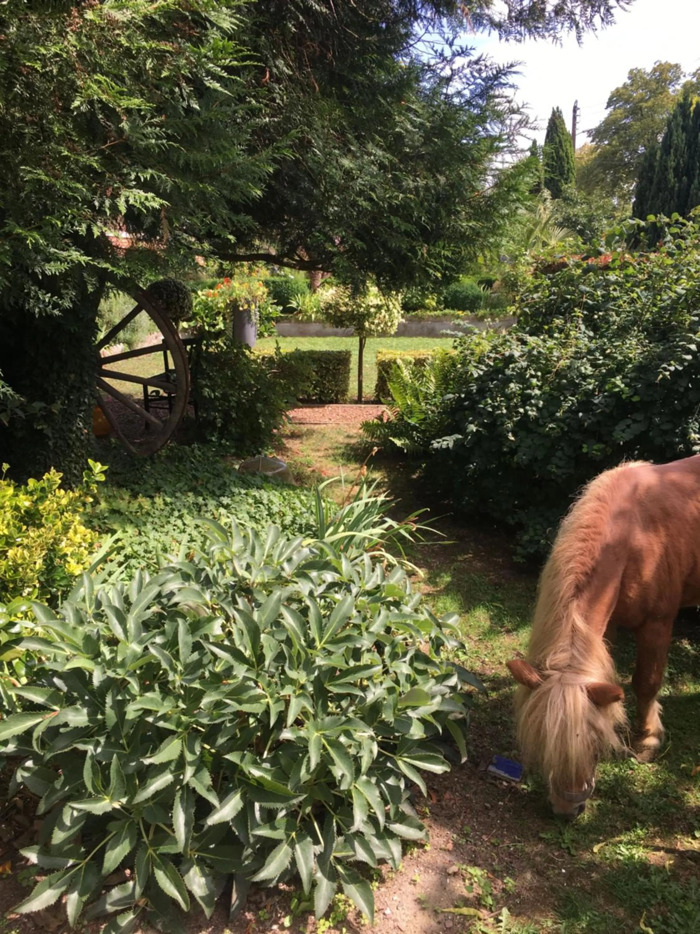 Garden in Comme une parenthèse au coeur des hortillonnages