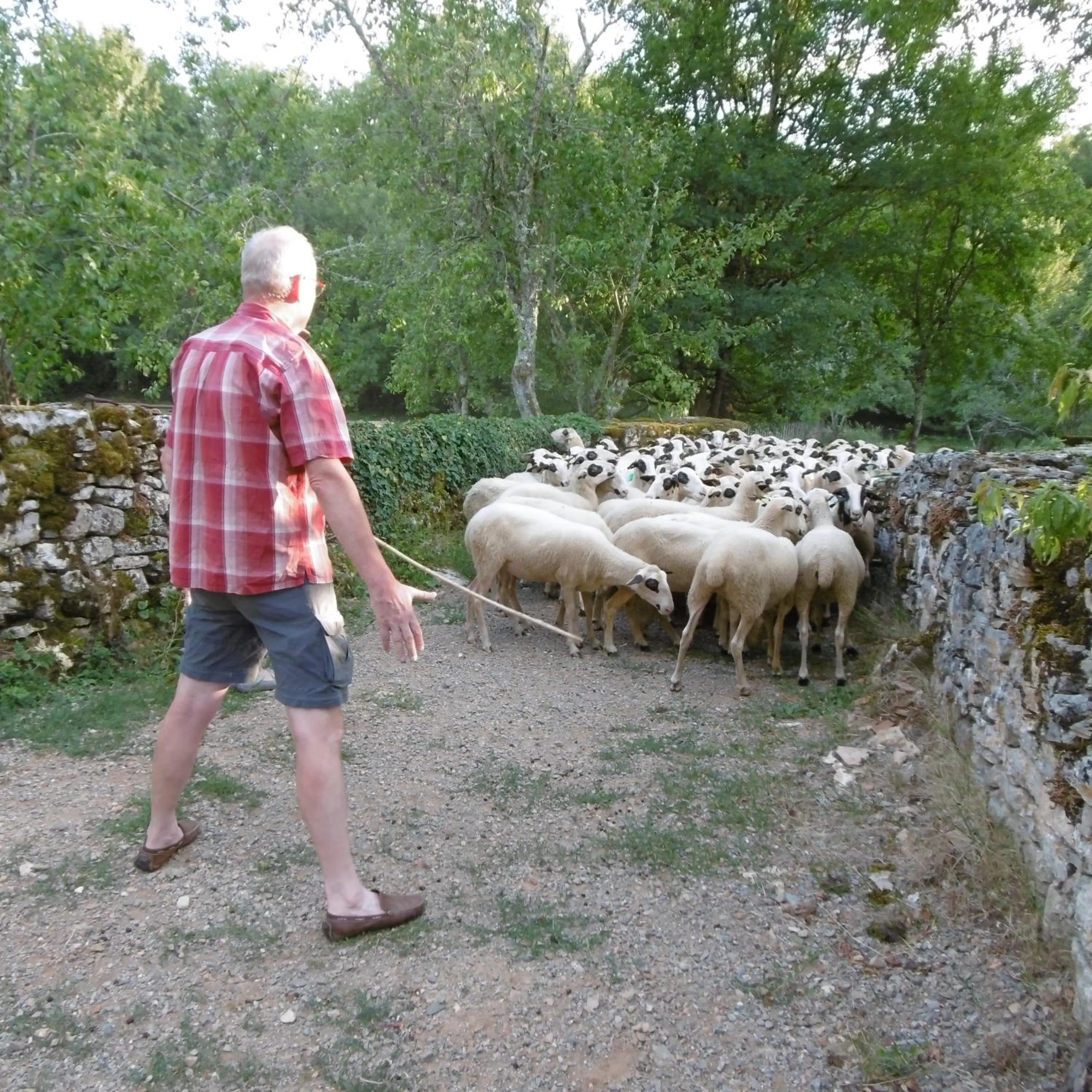 Pets in les roulottes du LOT