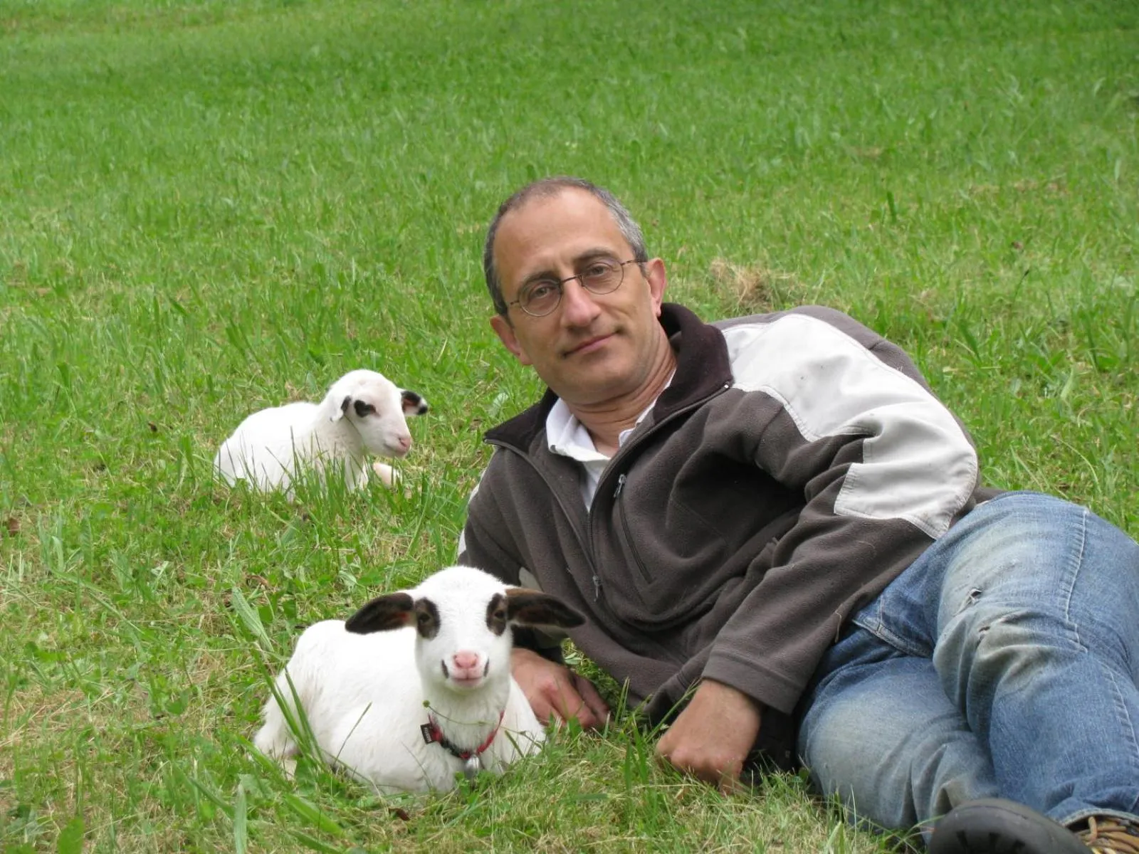 Pets in les roulottes du LOT