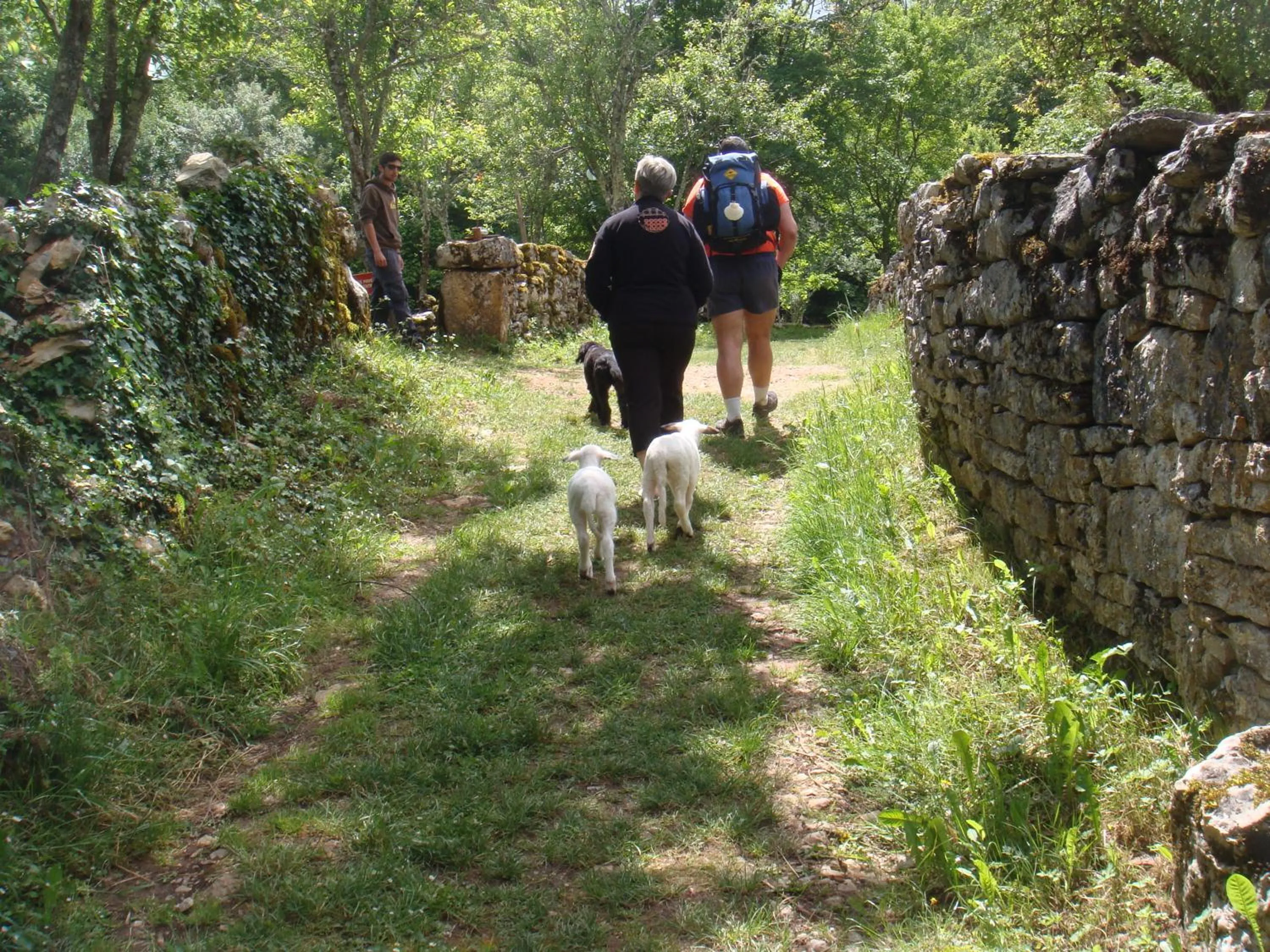 Hiking in les roulottes du LOT
