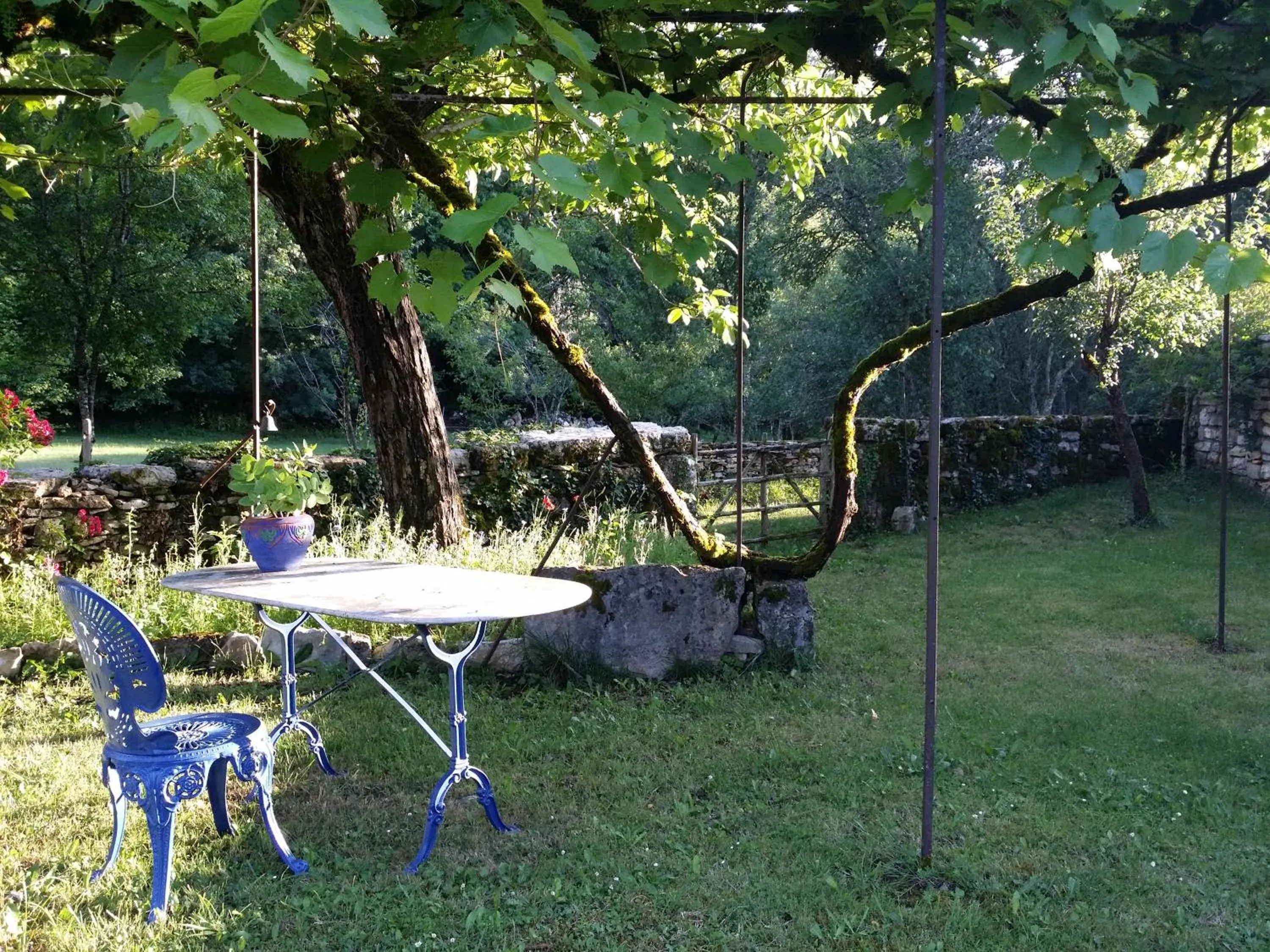Garden view in les roulottes du LOT