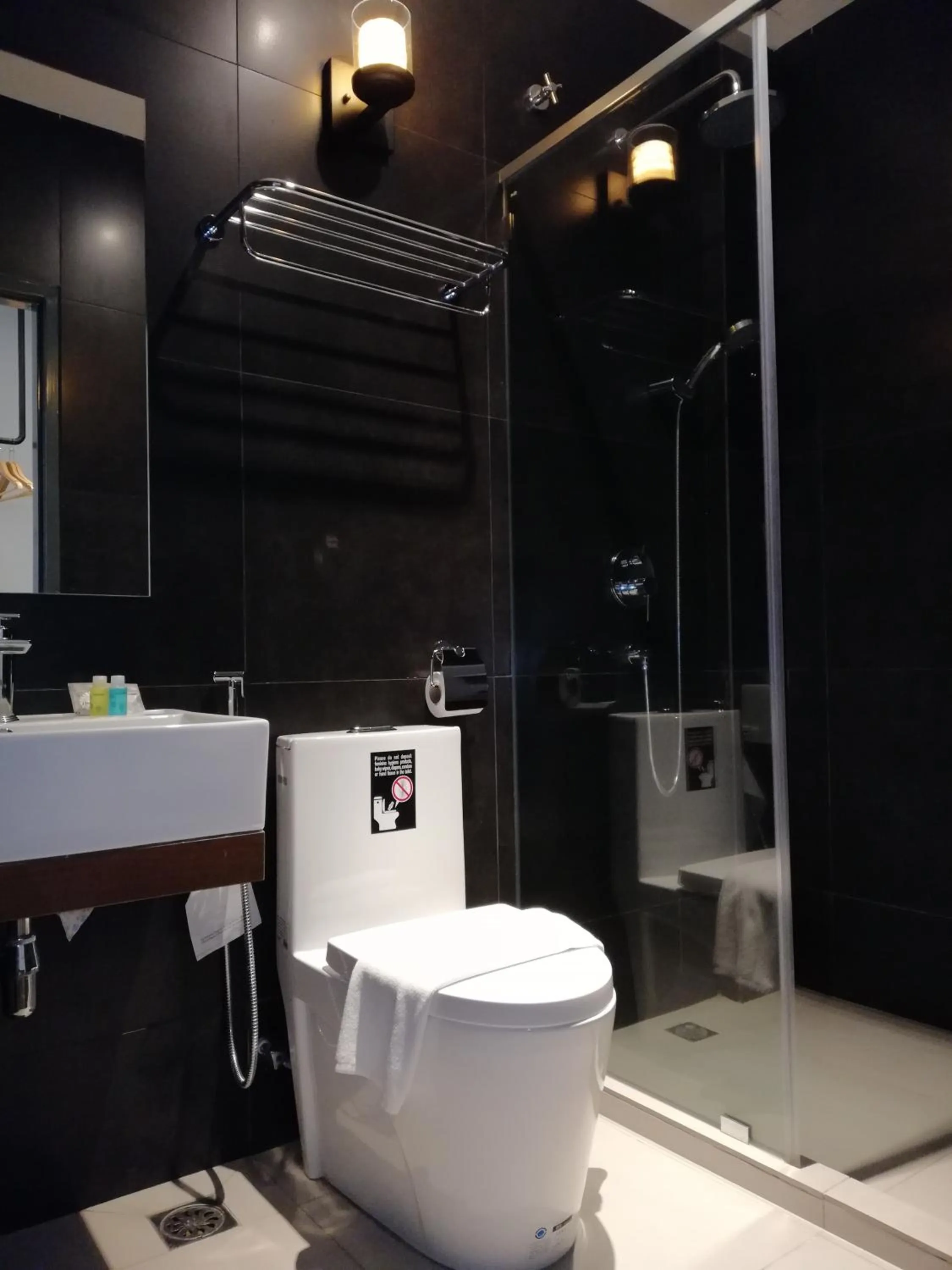 Toilet in Palm Hotel Ipoh