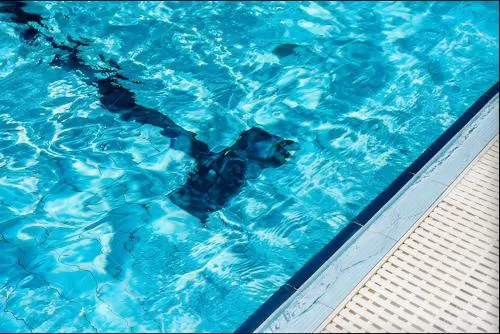 Quality Inn Overland Park Kansas City