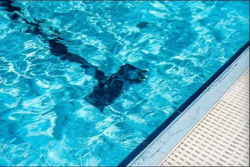 Quality Inn Overland Park Kansas City Quality Inn Overland Park Kansas City