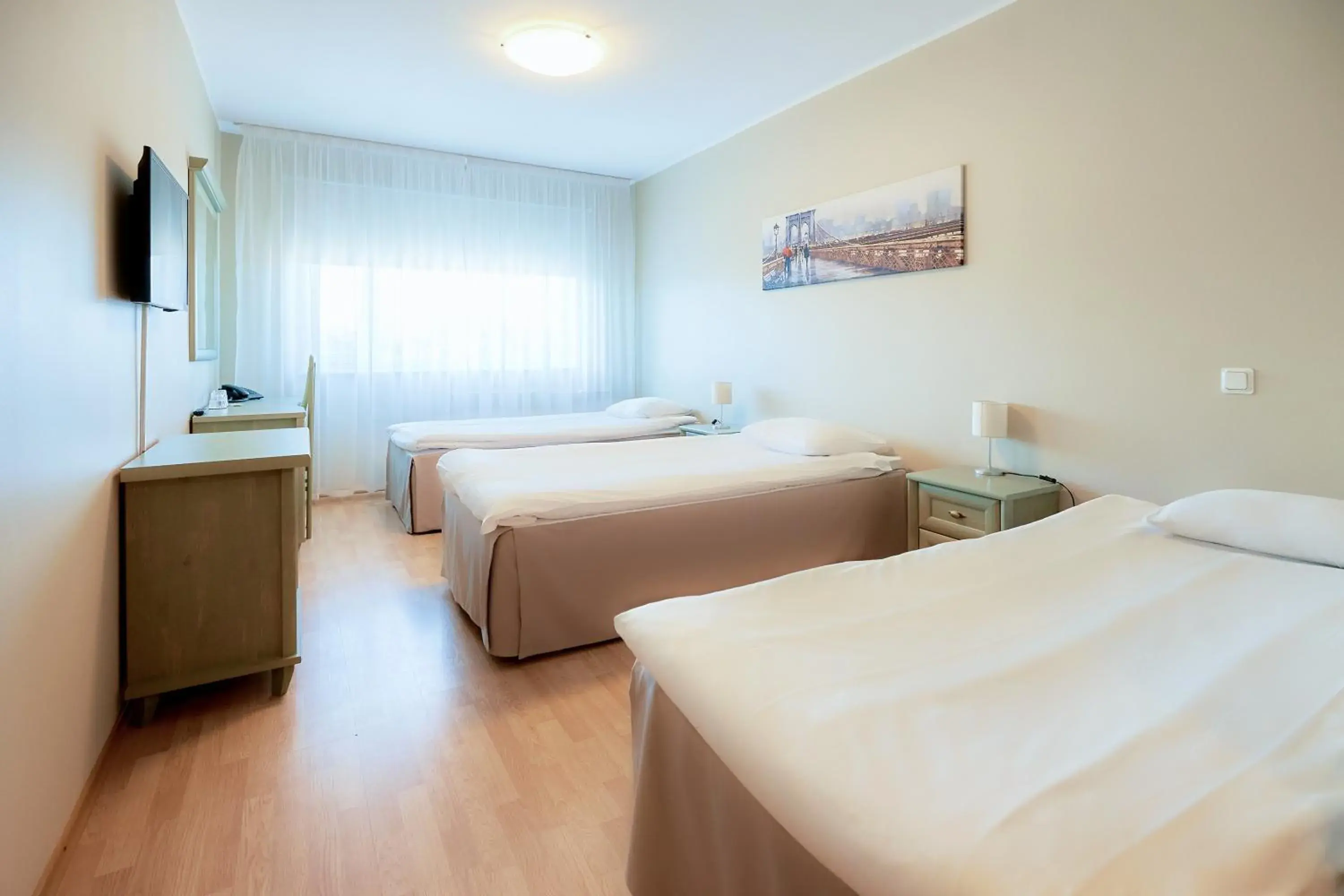 Standard Triple Room in Hotel Dzingel Standard Triple Room in Hotel Dzingel