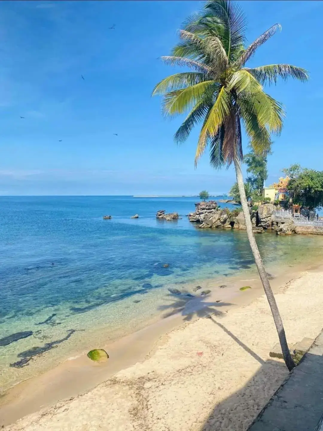 Nipola Hotel - Chợ Đêm Dương Đông Phú Quốc Nipola Hotel - Chợ Đêm Dương Đông Phú Quốc