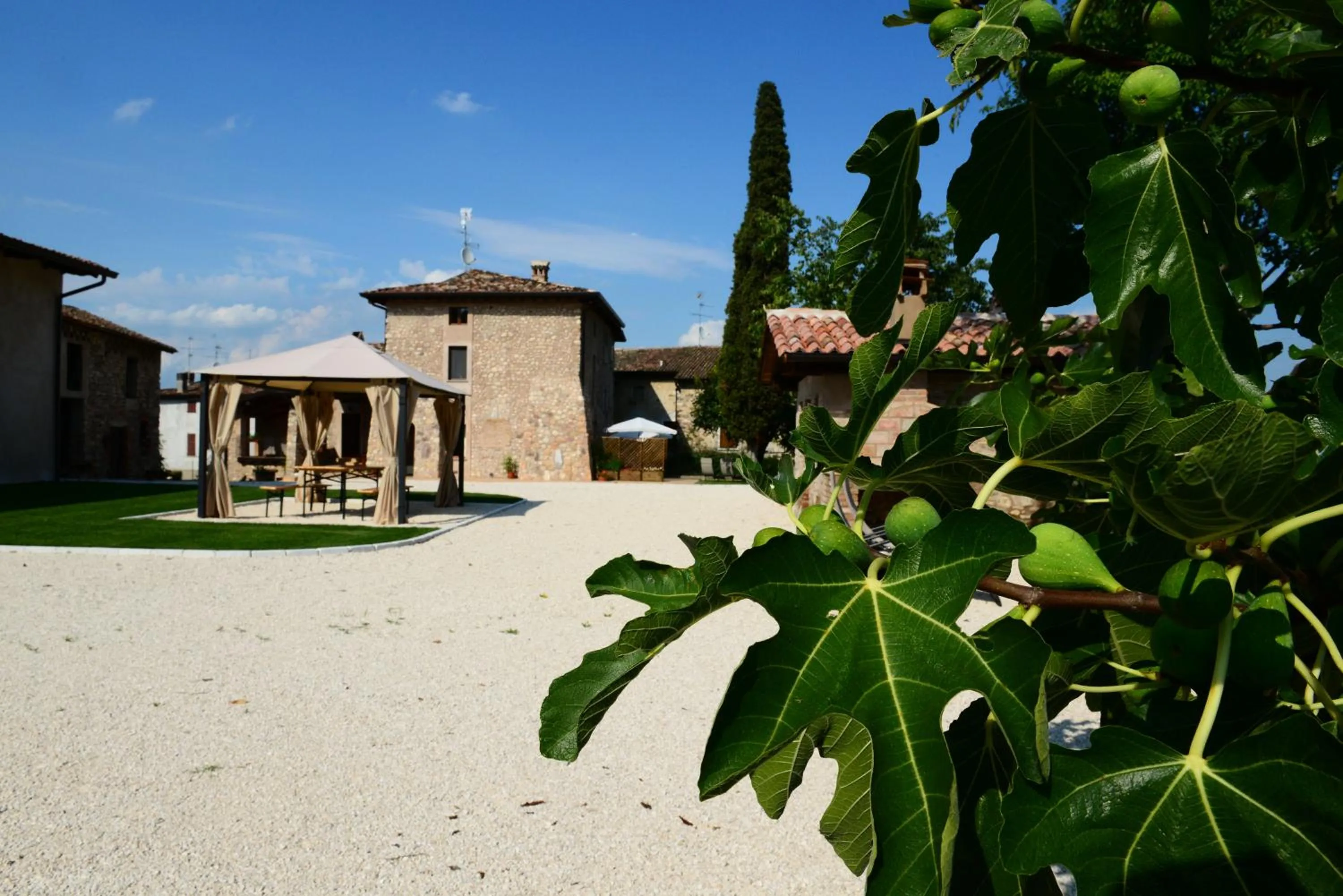 Garden view in Corte Davini Agriturismo