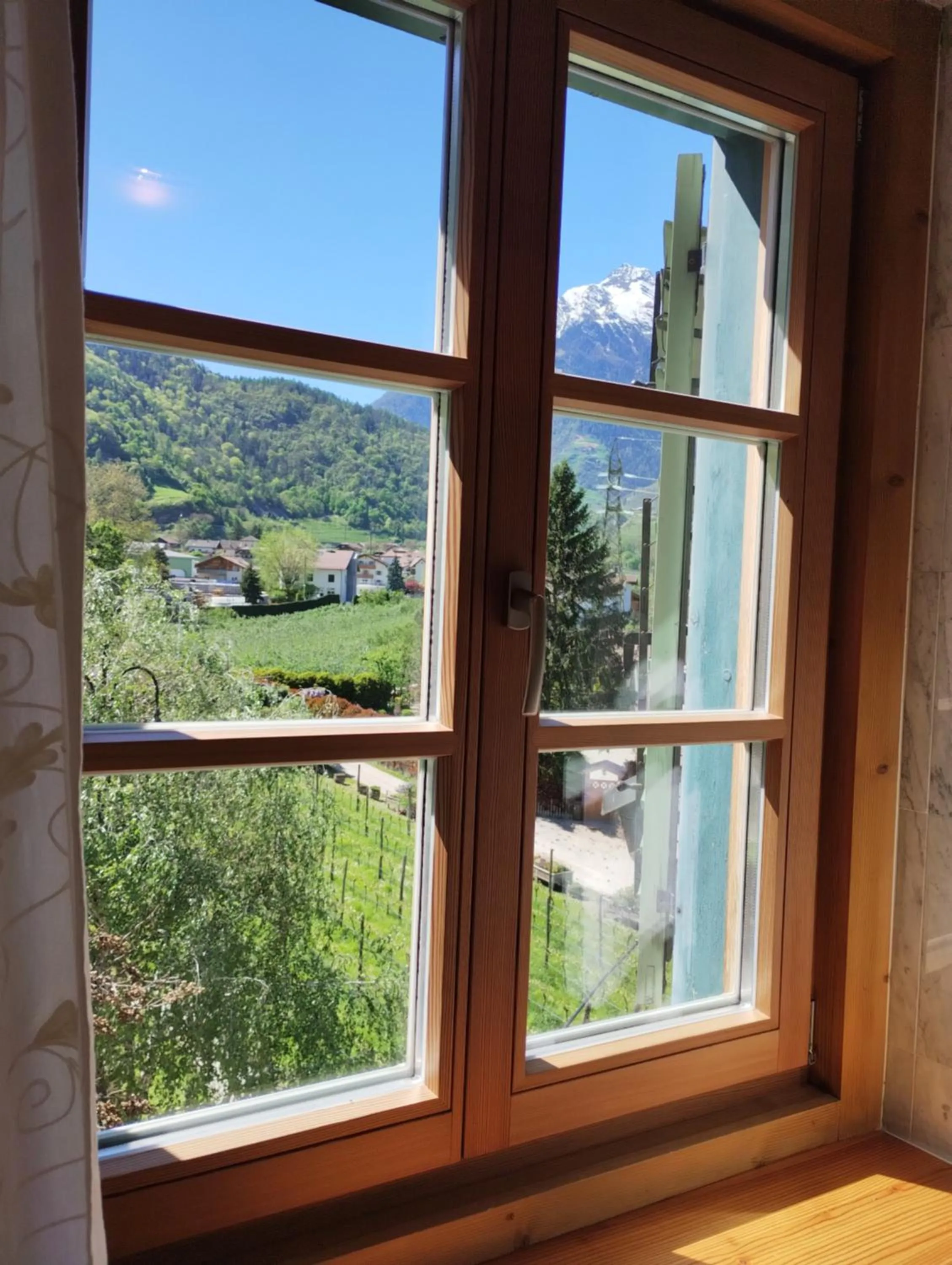 View (from property/room) in Schlosswirt Forst