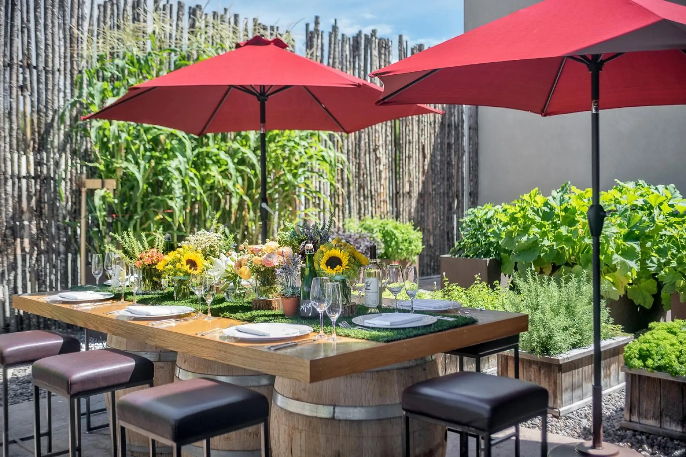 Restaurant/places to eat in Four Seasons Resort Rancho Encantado Santa Fe Restaurant/places to eat in Four Seasons Resort Rancho Encantado Santa Fe