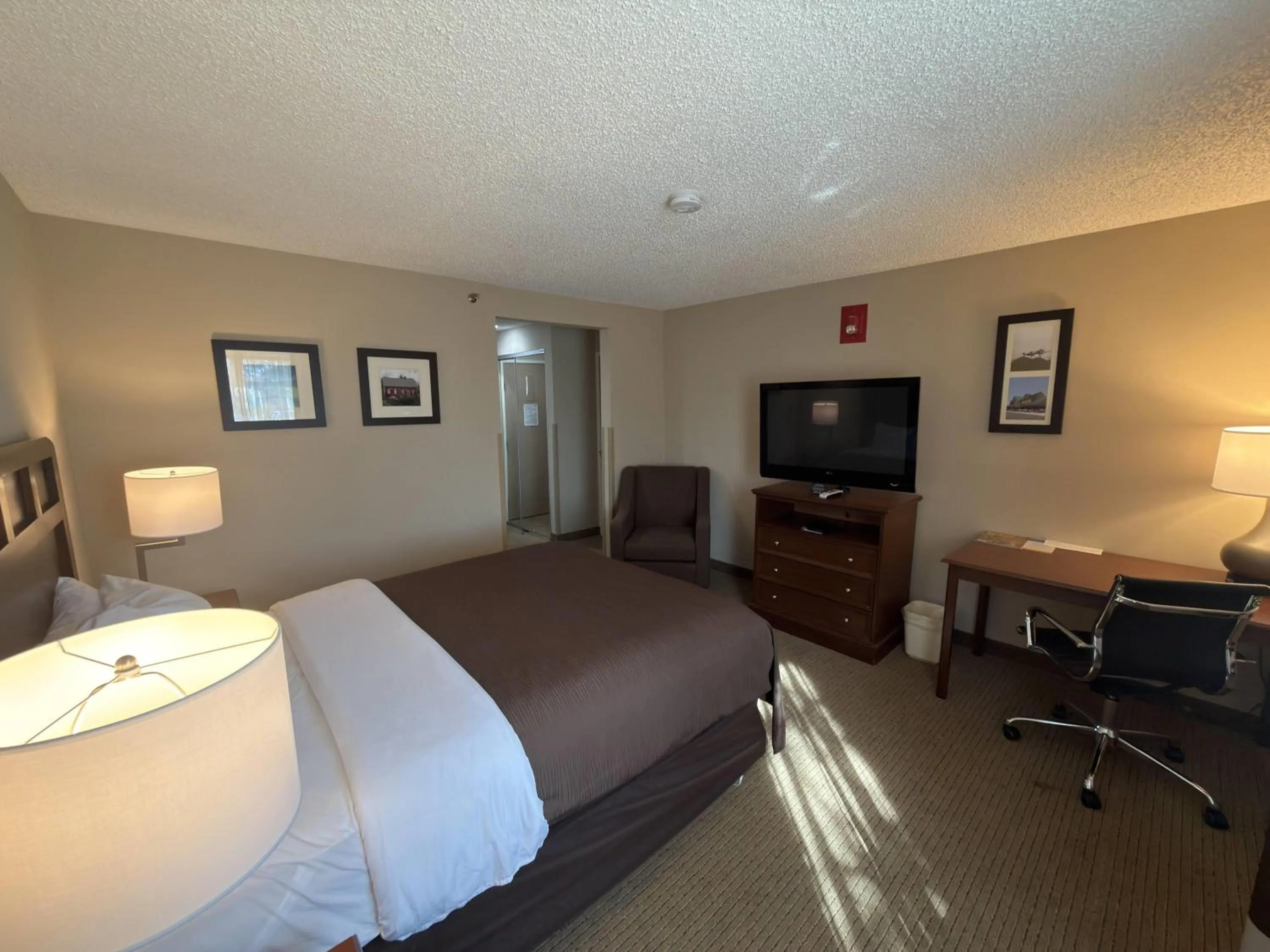 Photo of the whole room in Wingate by Wyndham Utica