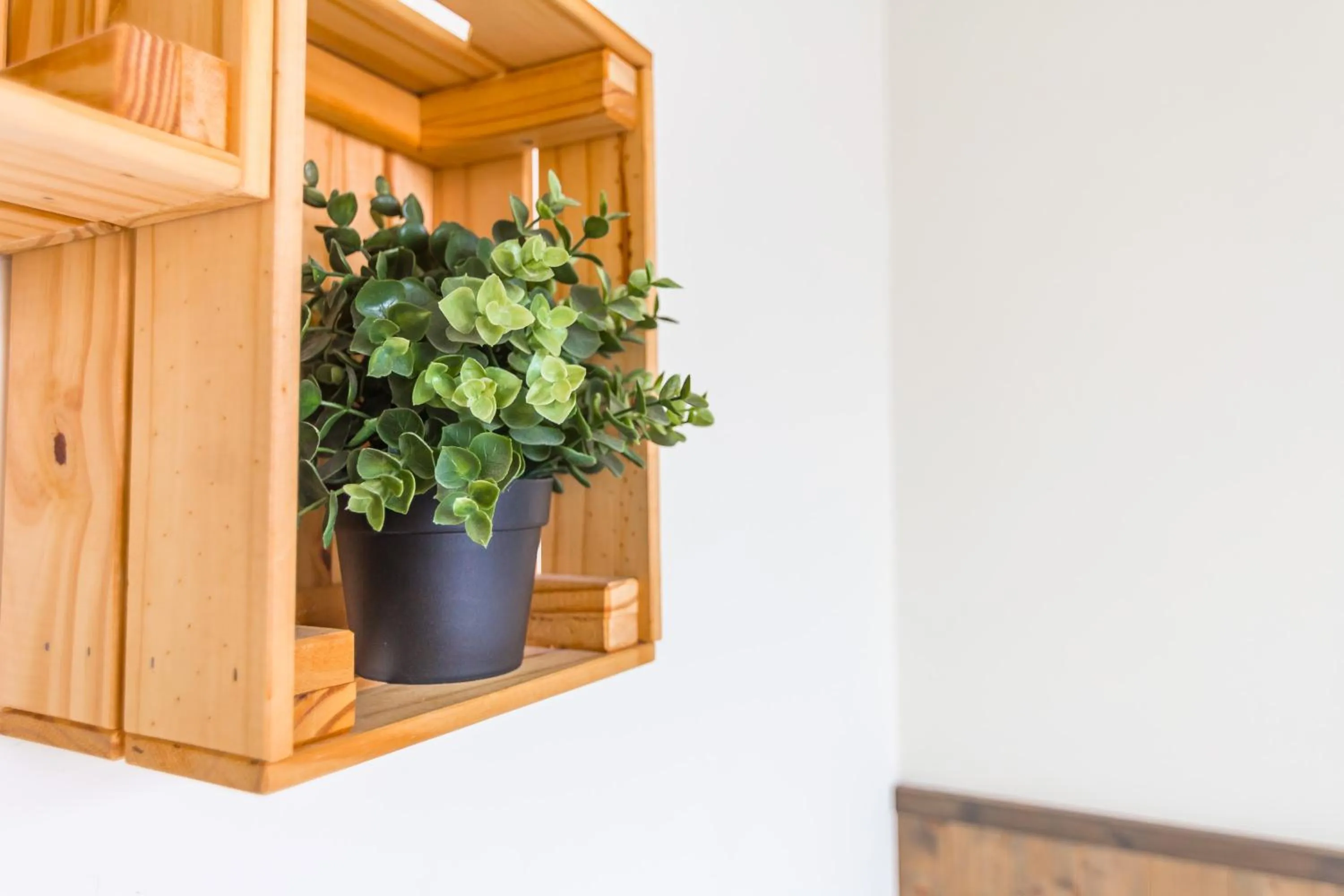 Decorative detail in Cozy Green Guesthouse