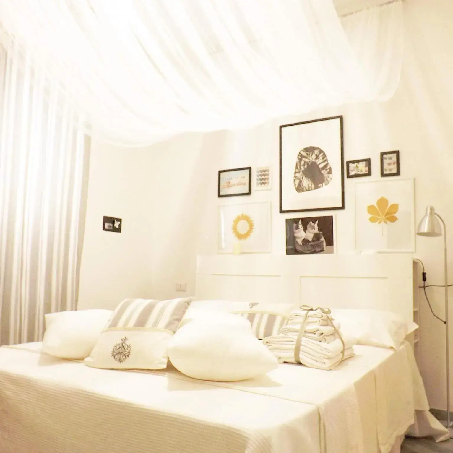 Domus Alma Domus Alma