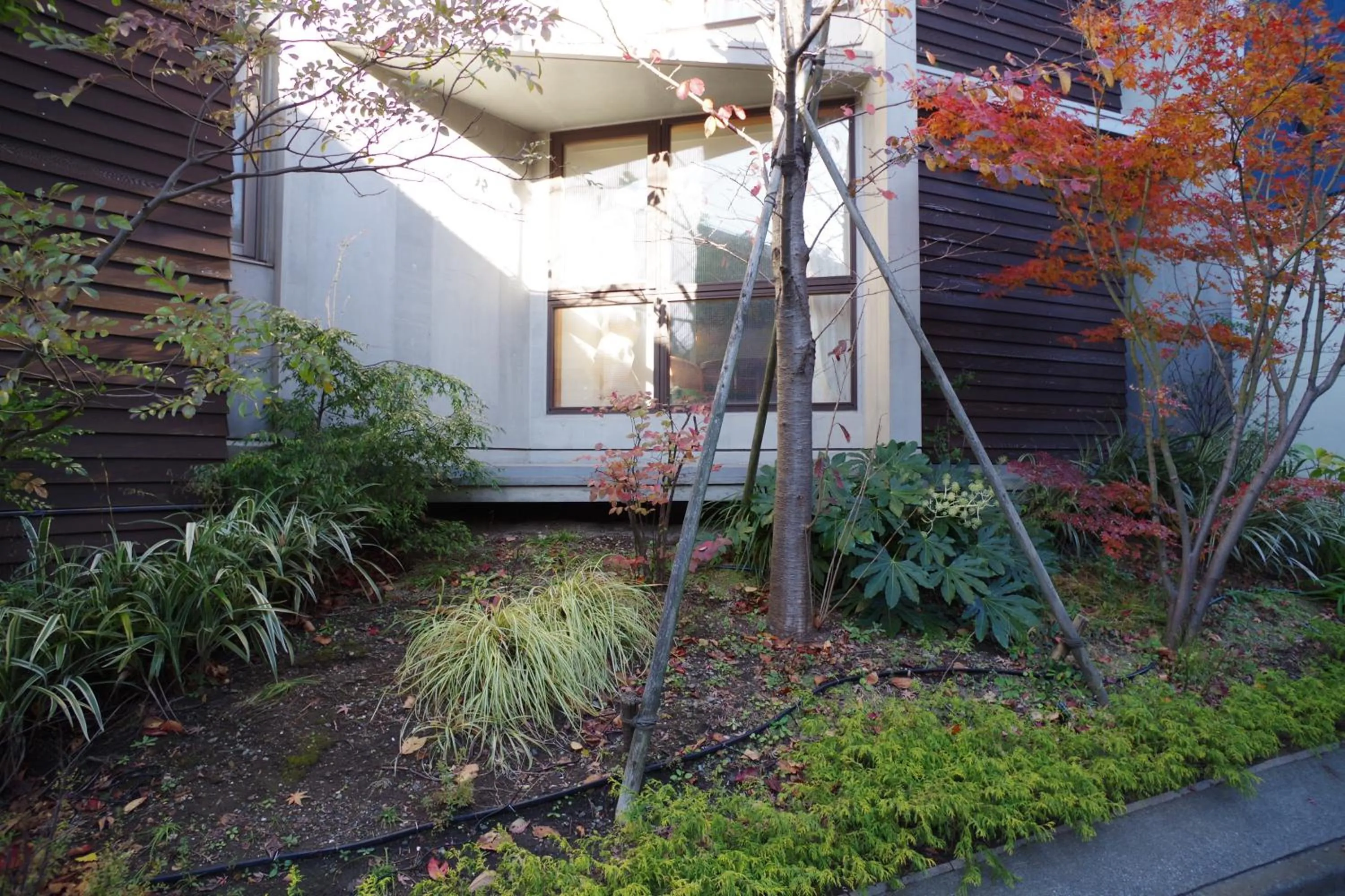 Sango Katase Guest Rooms