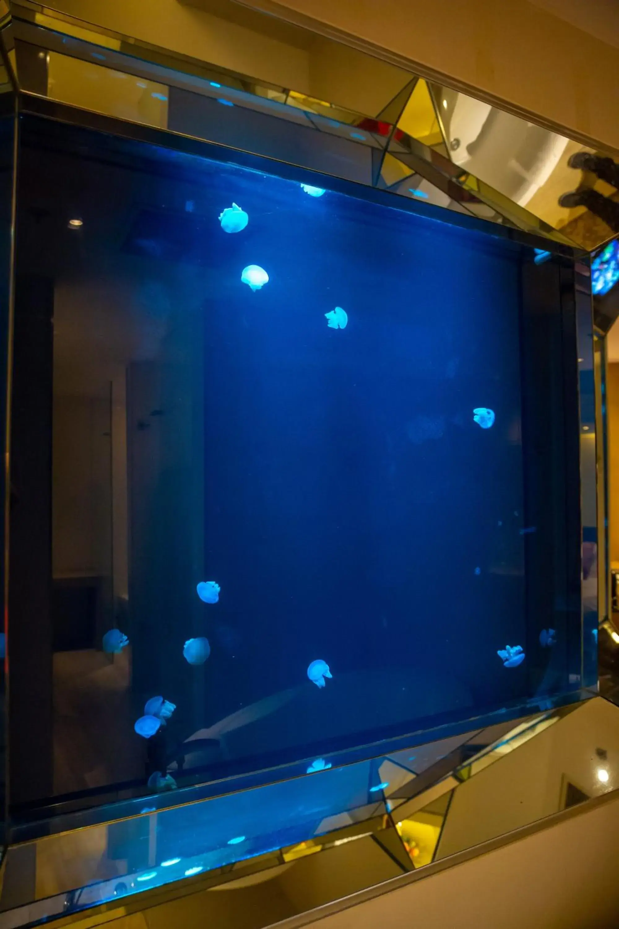 View (from property/room) in Hotel H2O View (from property/room) in Hotel H2O