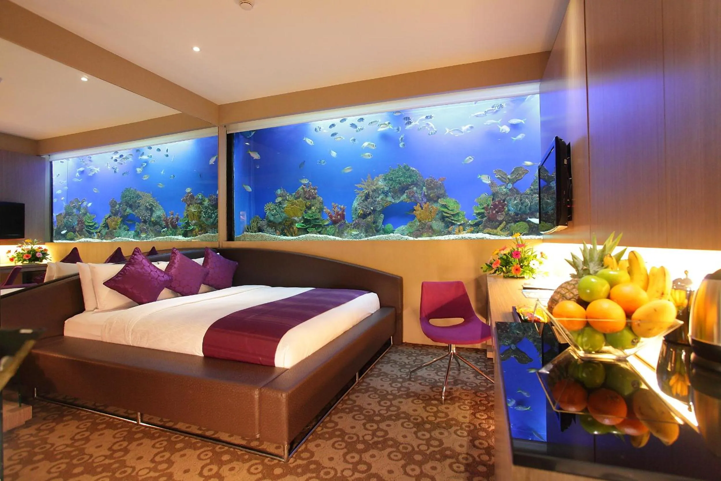 Photo of the whole room in Hotel H2O