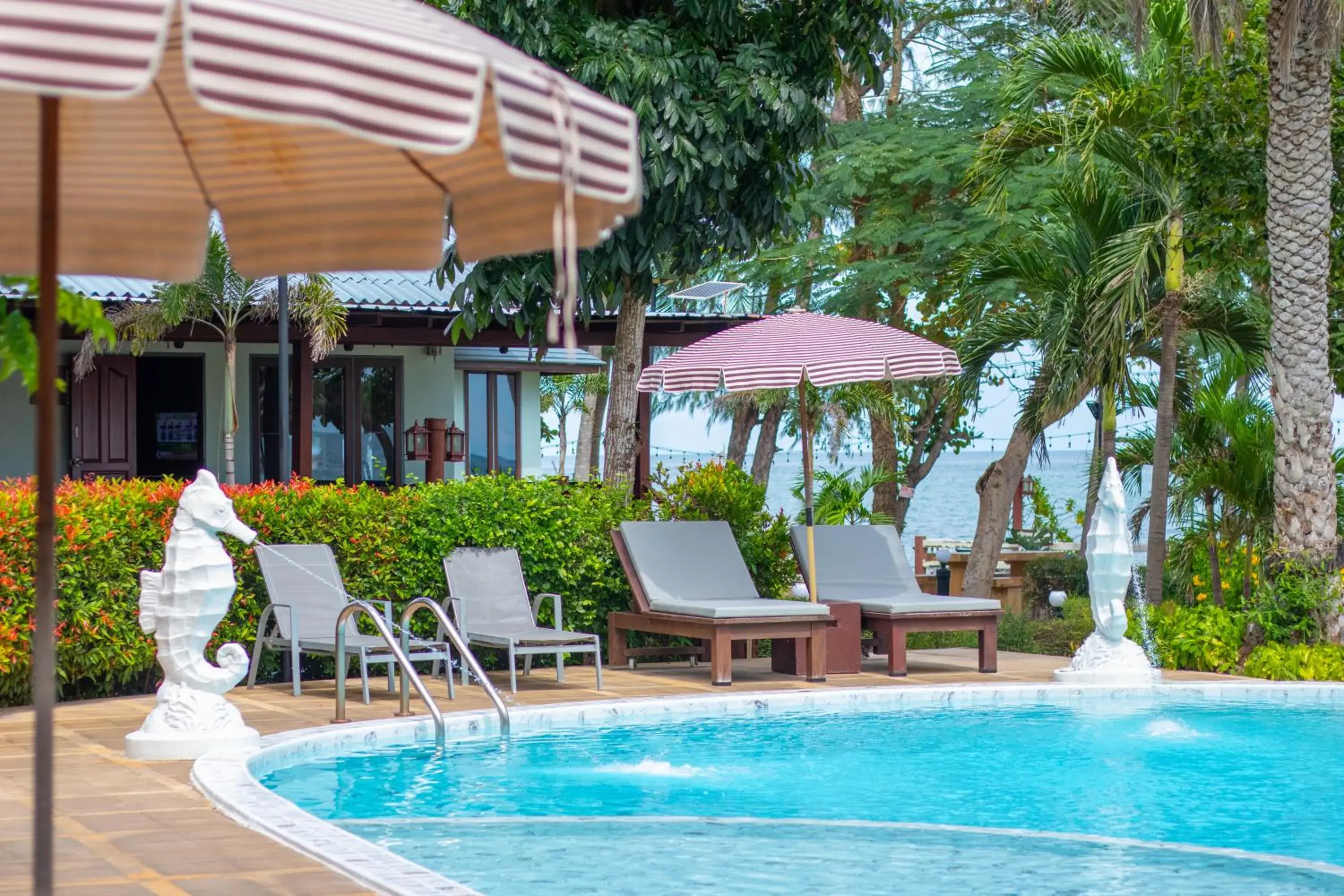 Swimming pool in Rocky Point Resort Swimming pool in Rocky Point Resort