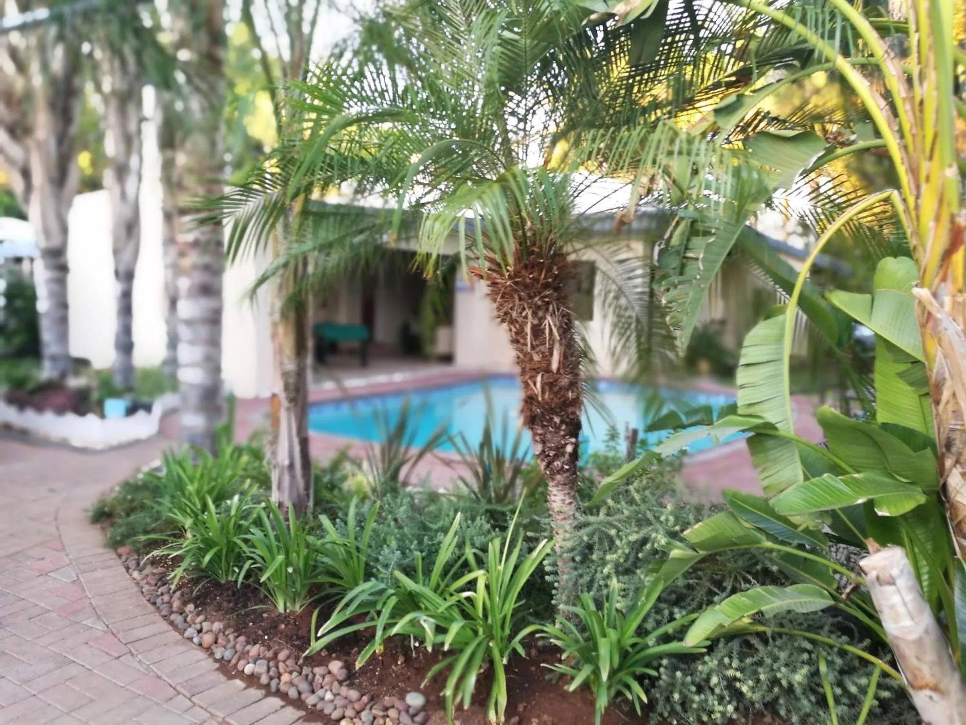 Garden in Be My Guest