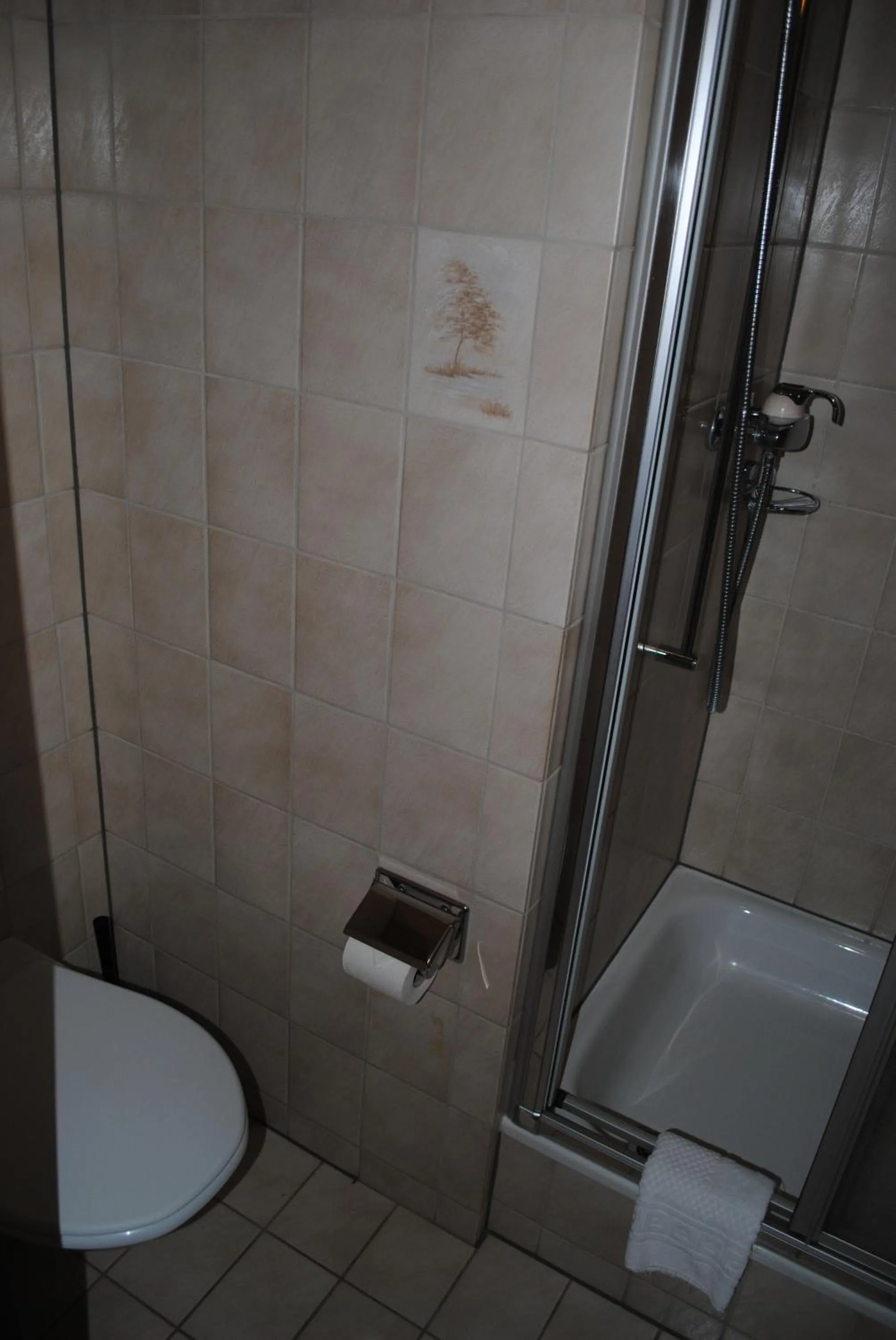 Bathroom in Hotel Des Alpes