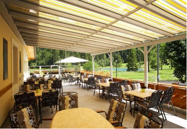 Balcony/Terrace in Hotel Des Alpes